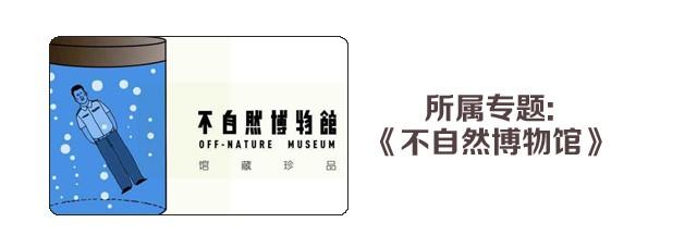 同学会32