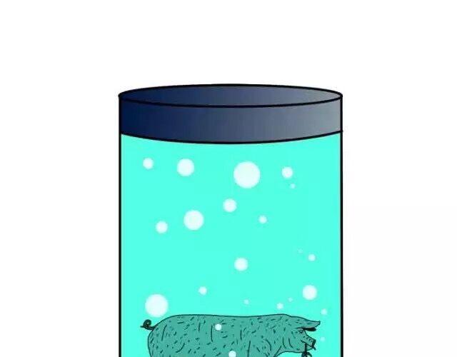 这个星球太罗曼蒂克40