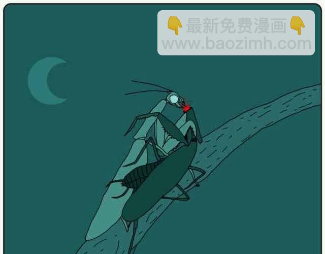 用心良苦的妈妈16