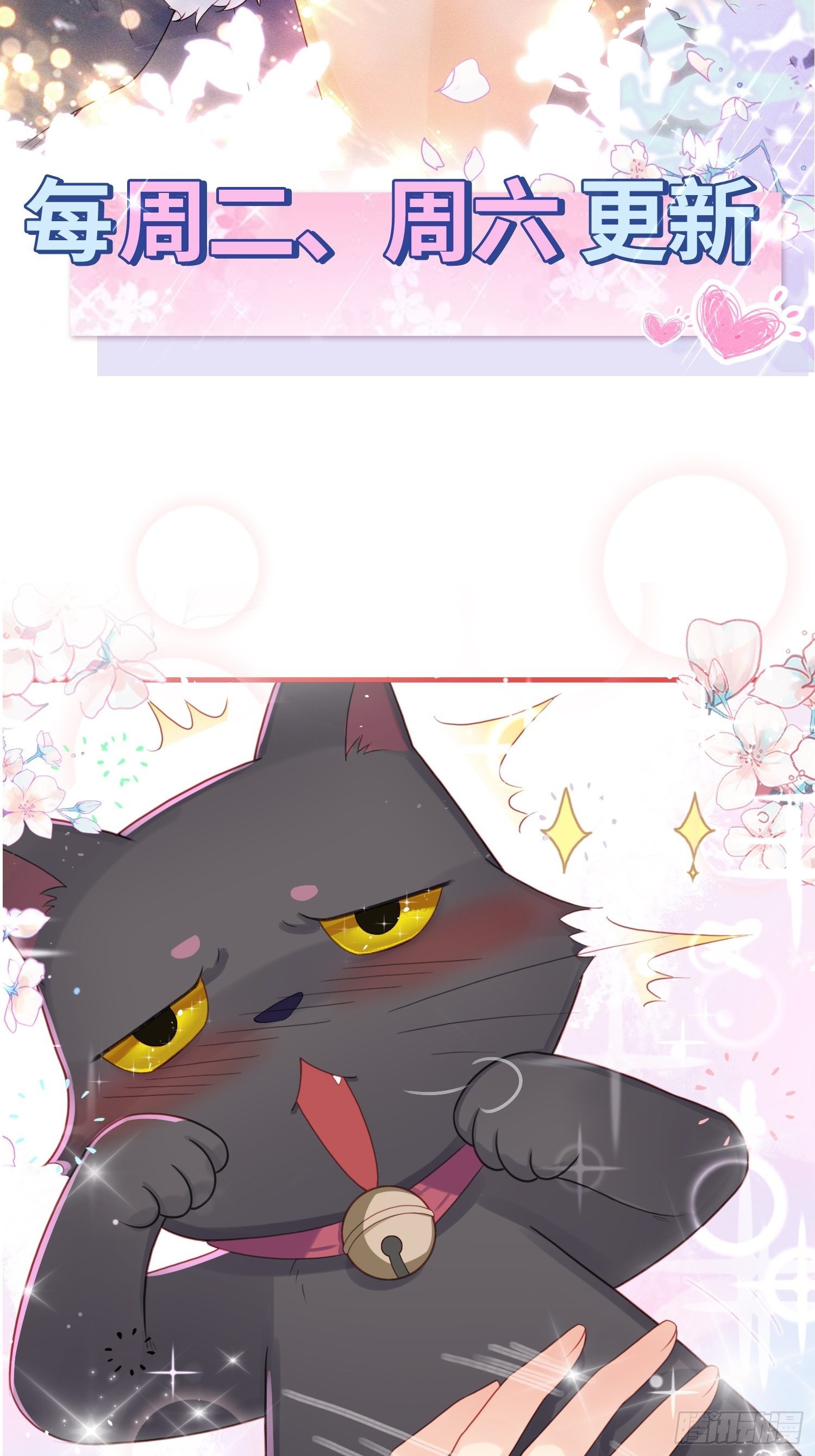 你身上有野猫味41