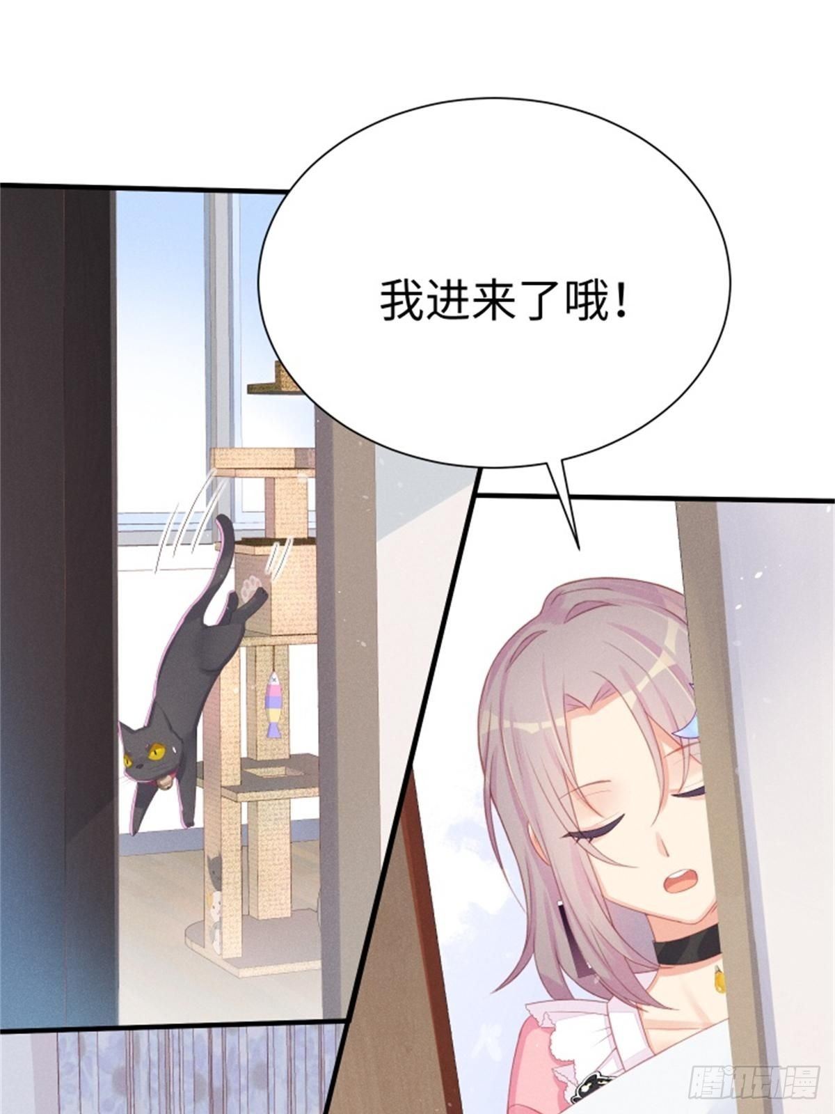愚蠢的人类在对本喵做什么？！9