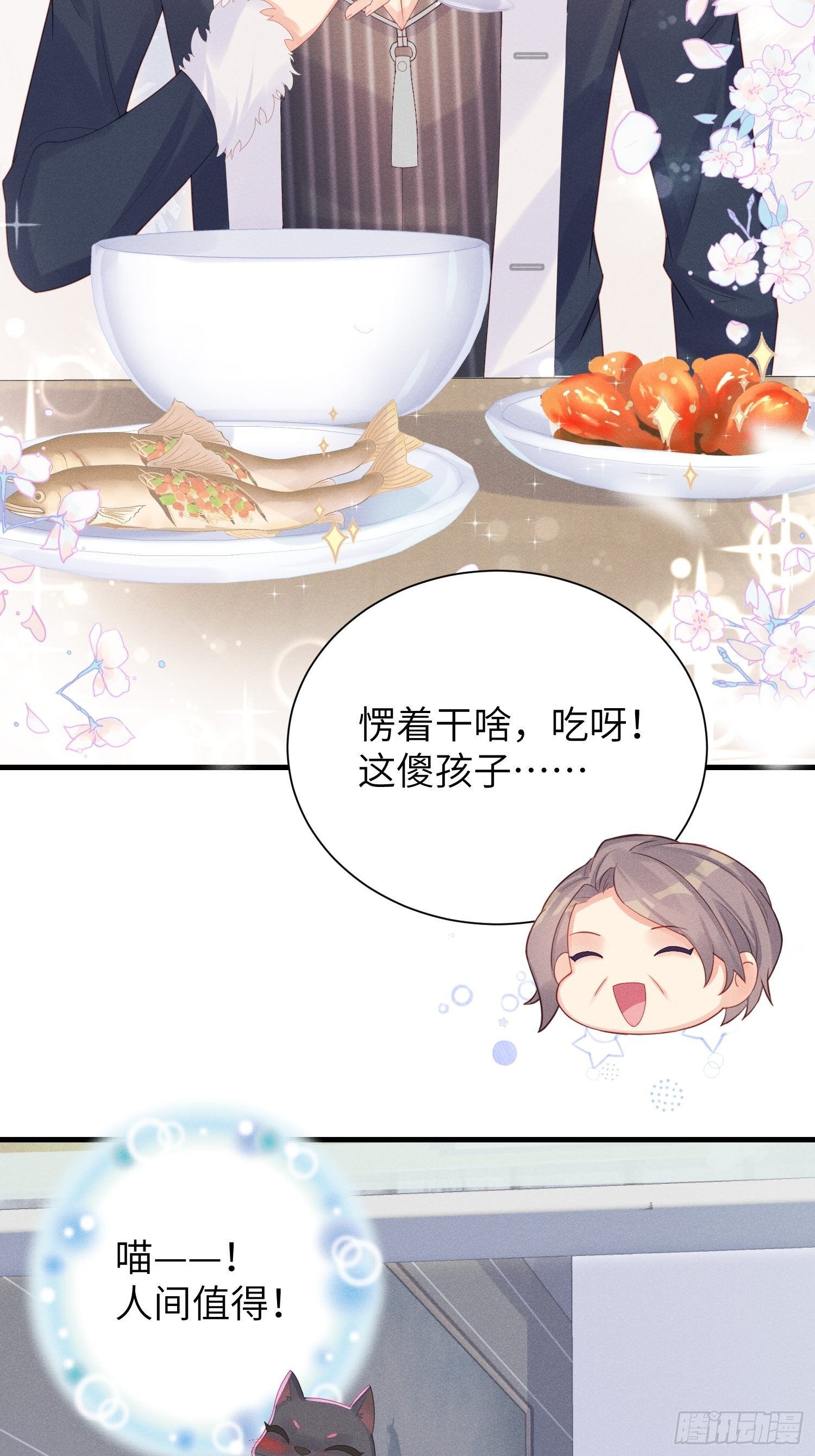 赌上喵的尊严！17