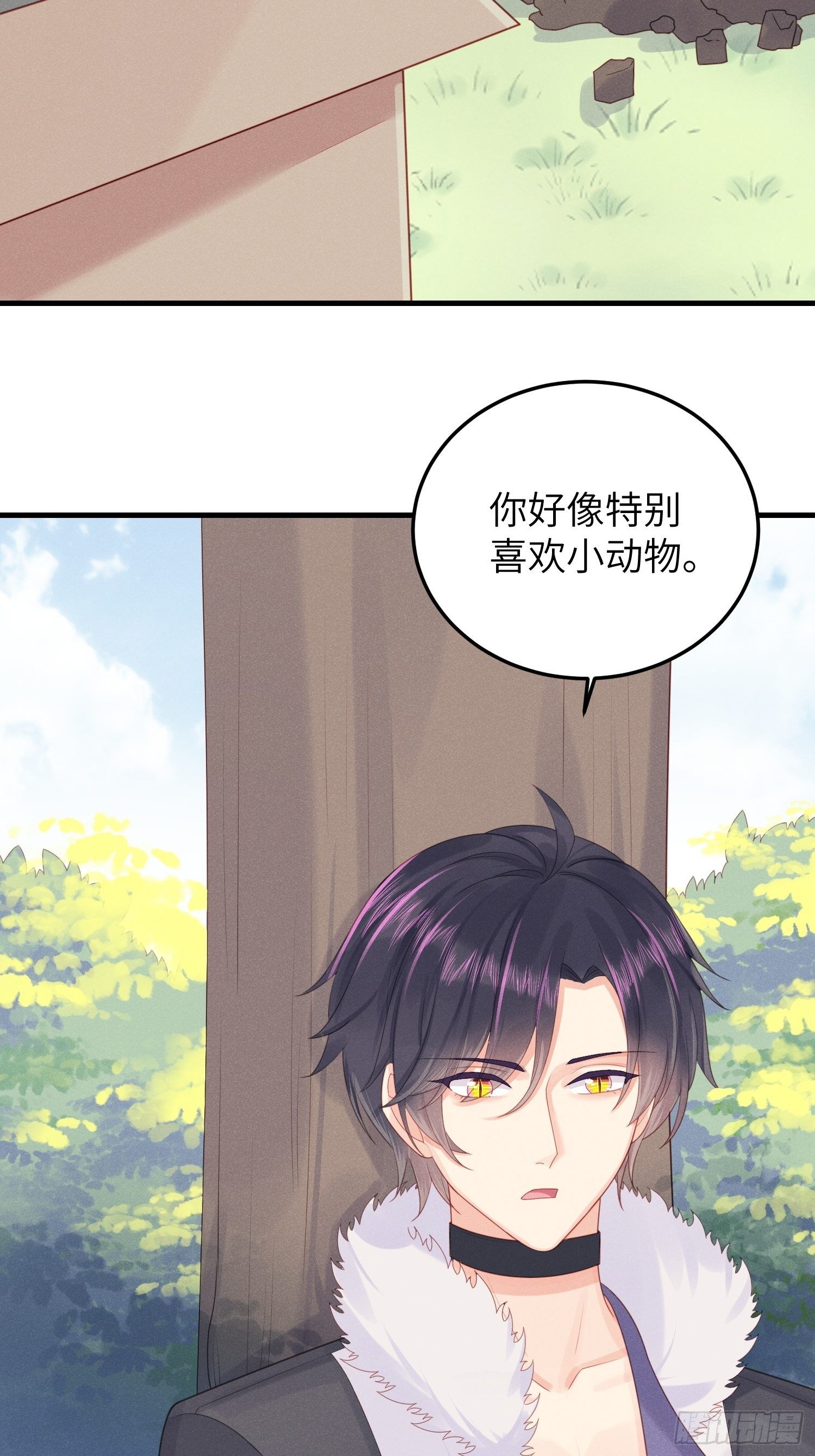 人类的爱24