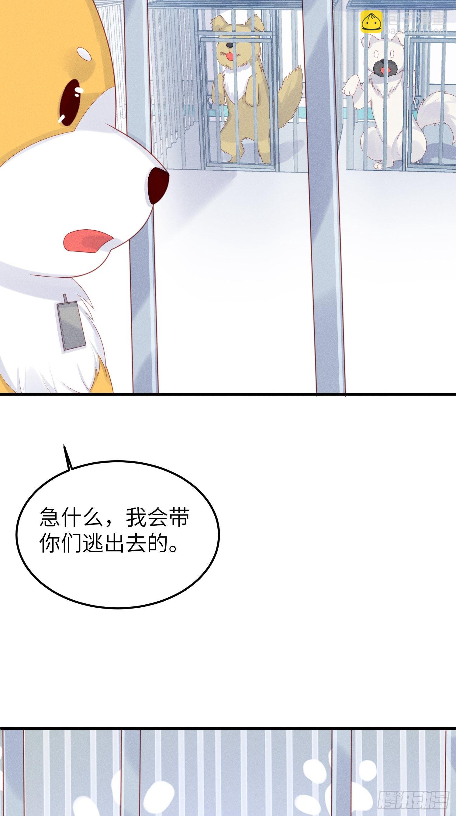 人间的十二年3