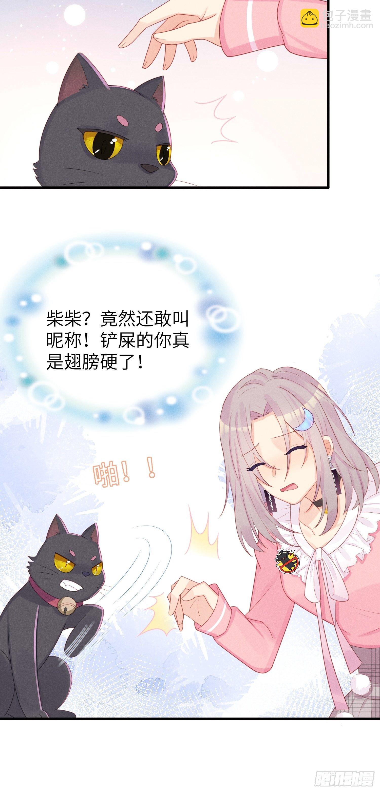 领地意识31