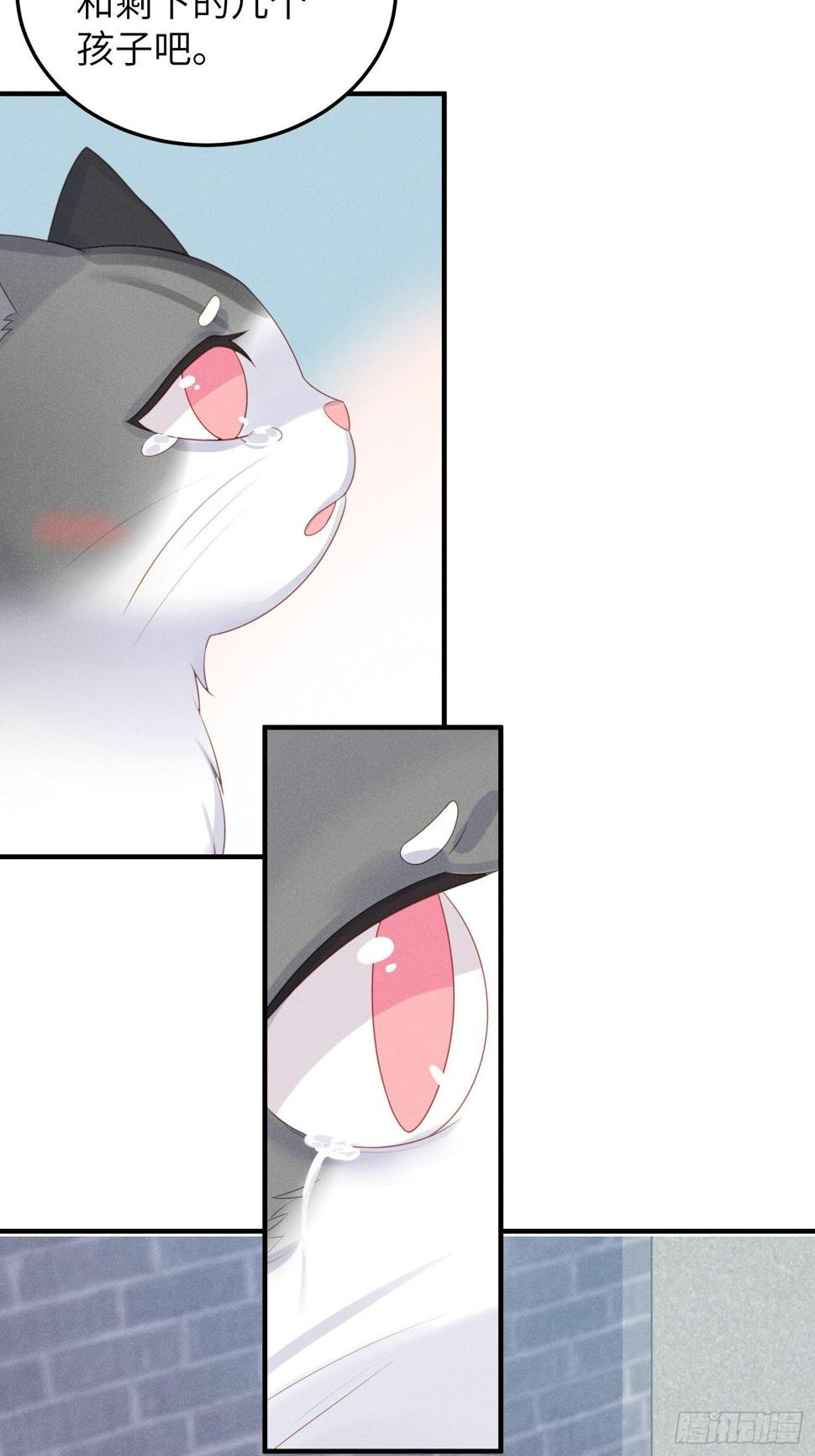 幼猫与虐猫畜牲13