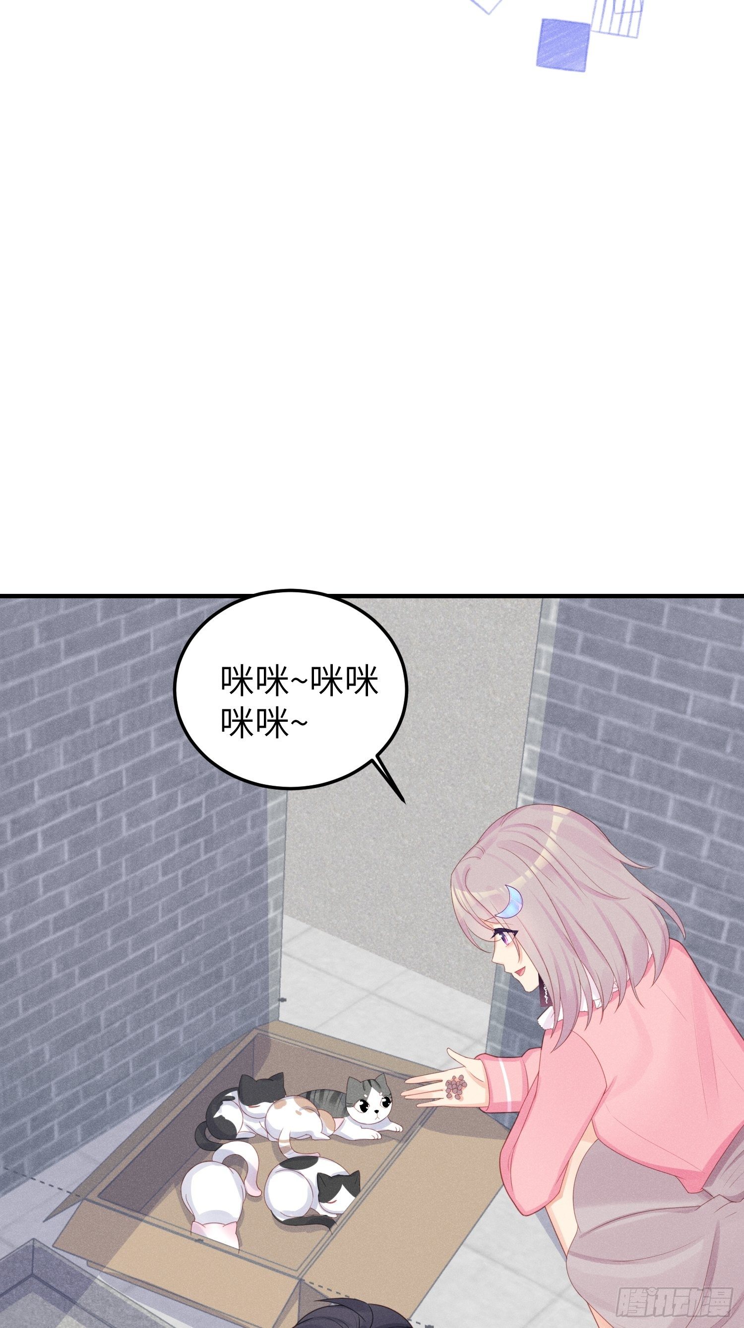 幼猫与虐猫畜牲5
