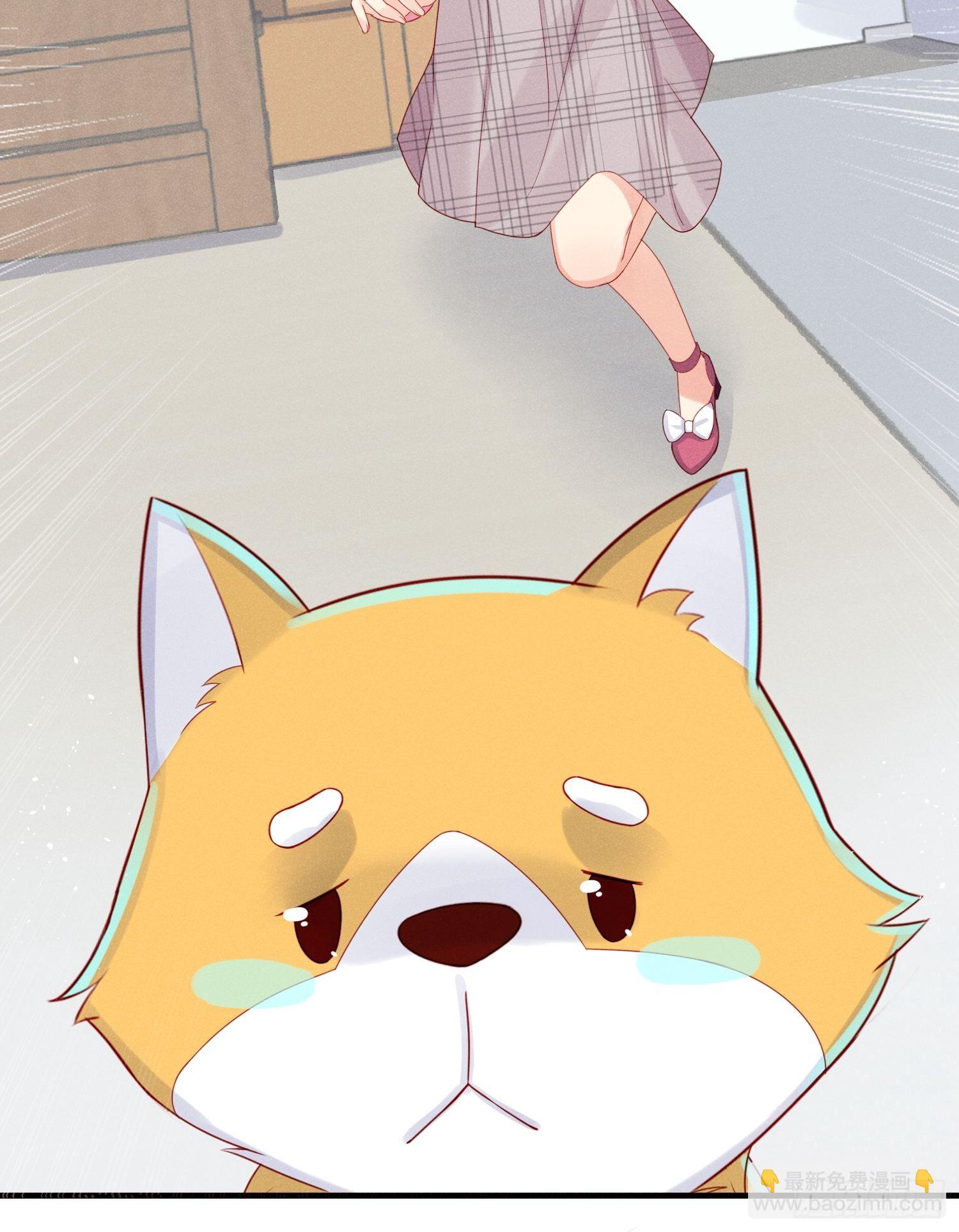 领地意识14