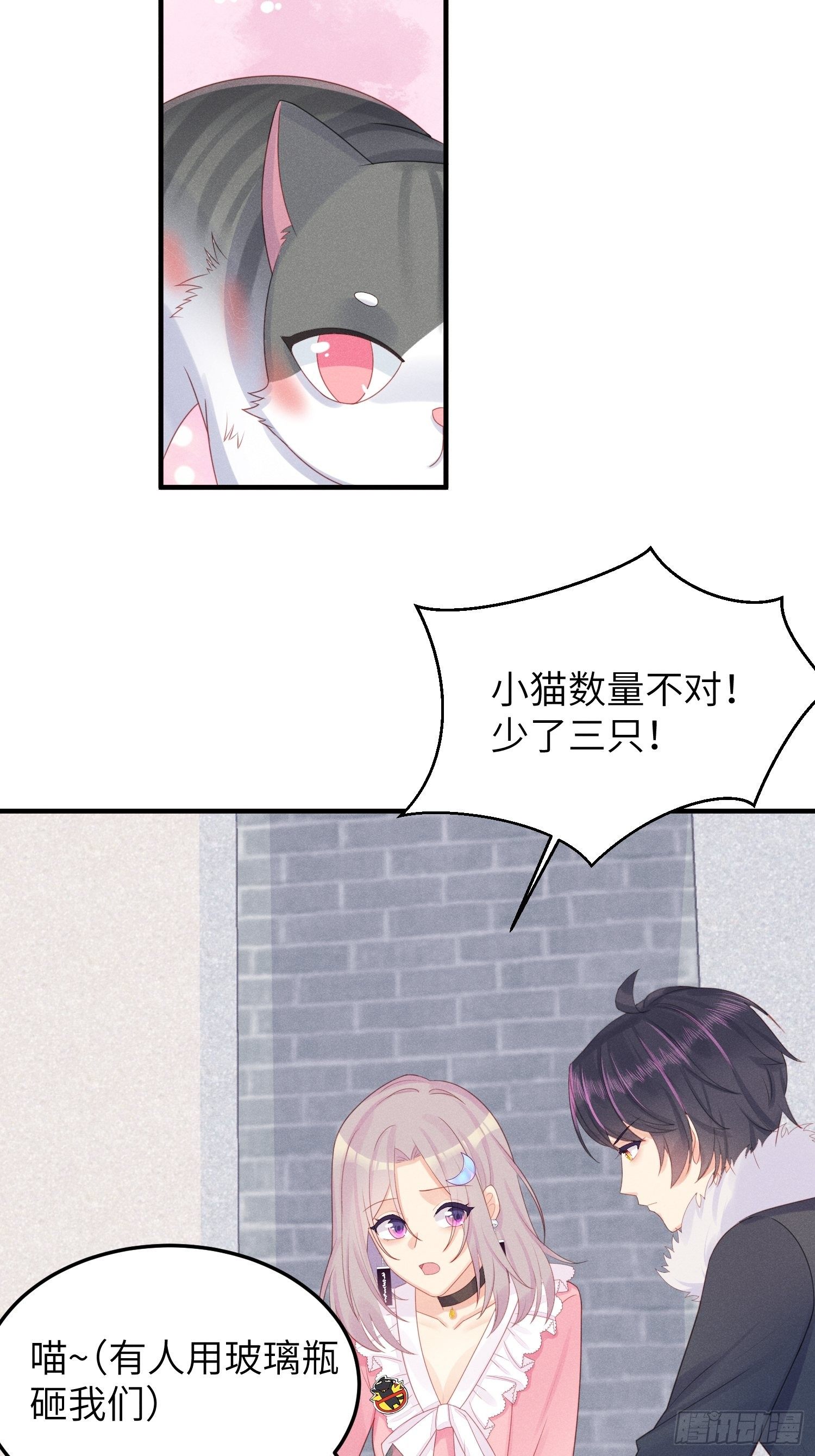 幼猫与虐猫畜牲9
