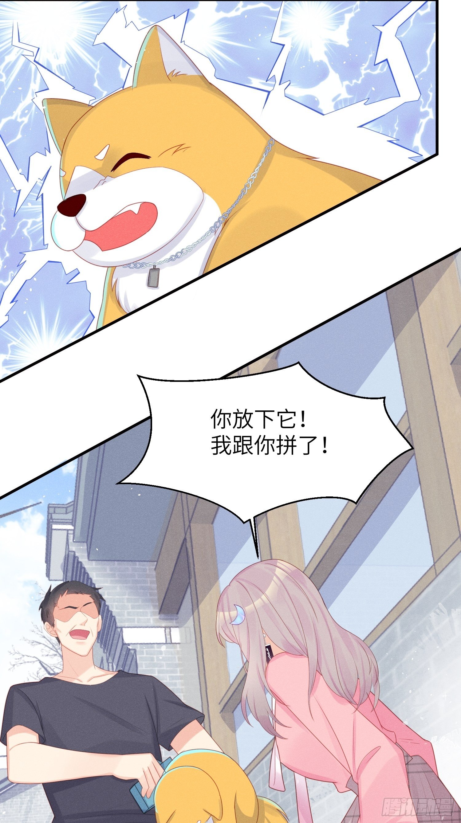幼猫与虐猫畜牲24