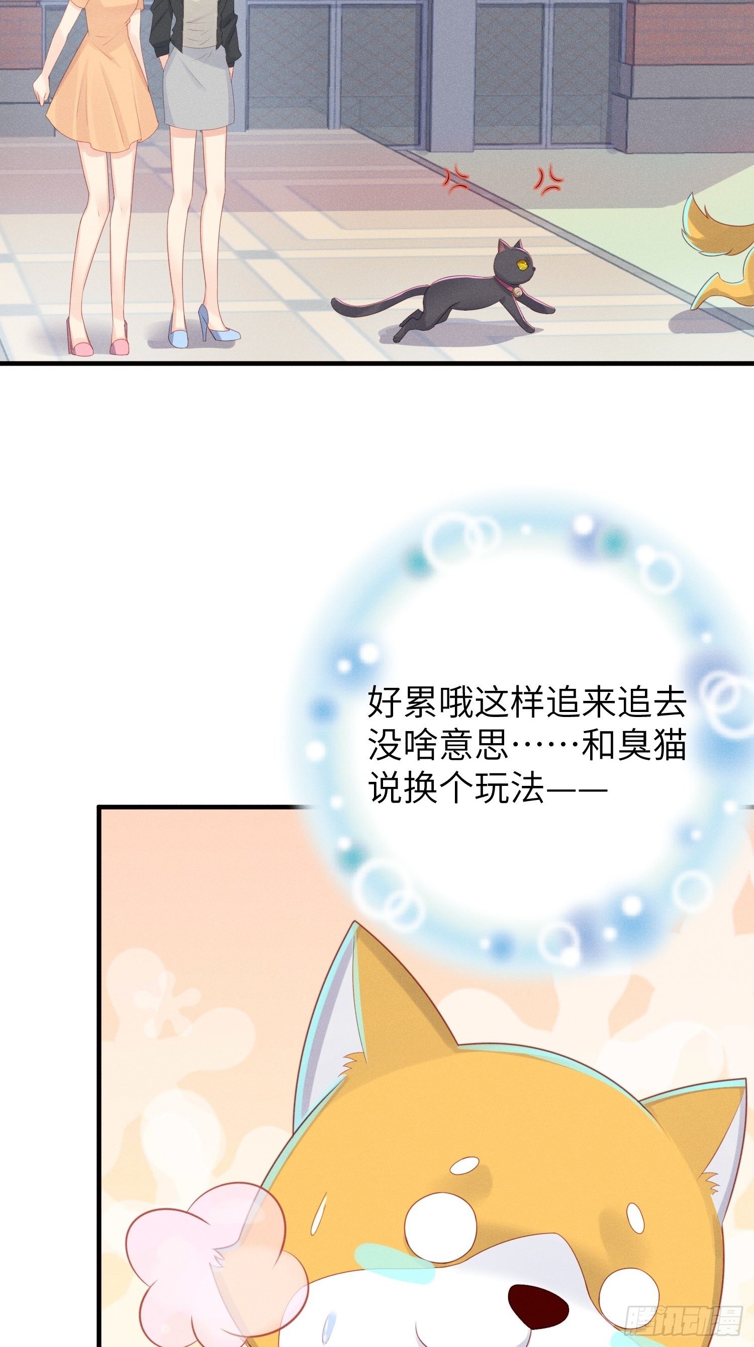 做绝育了么？22