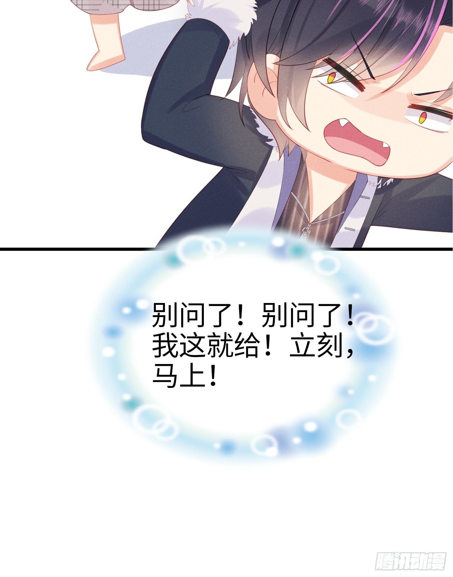 赌上喵的尊严！40