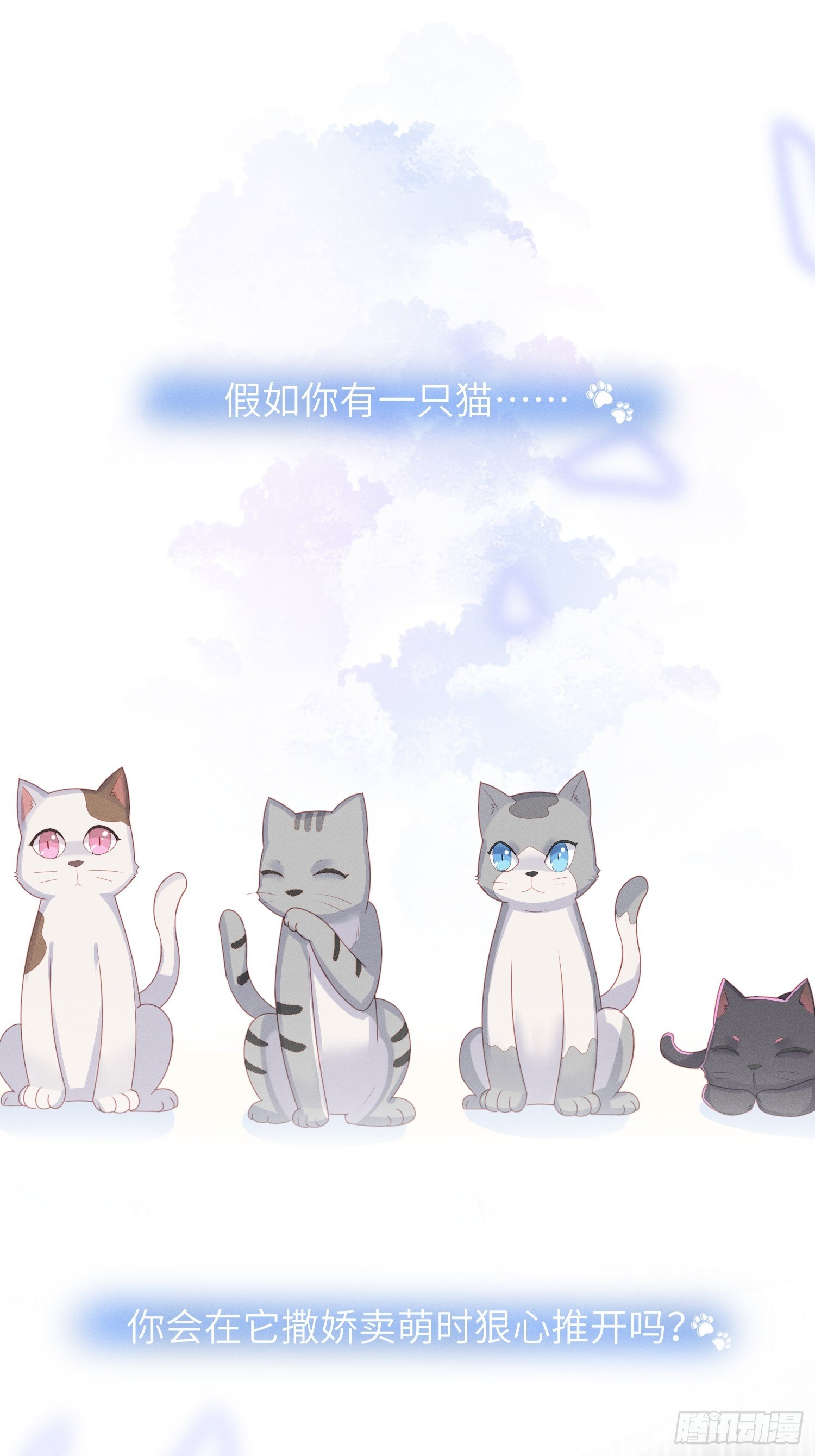 赌上喵的尊严！2