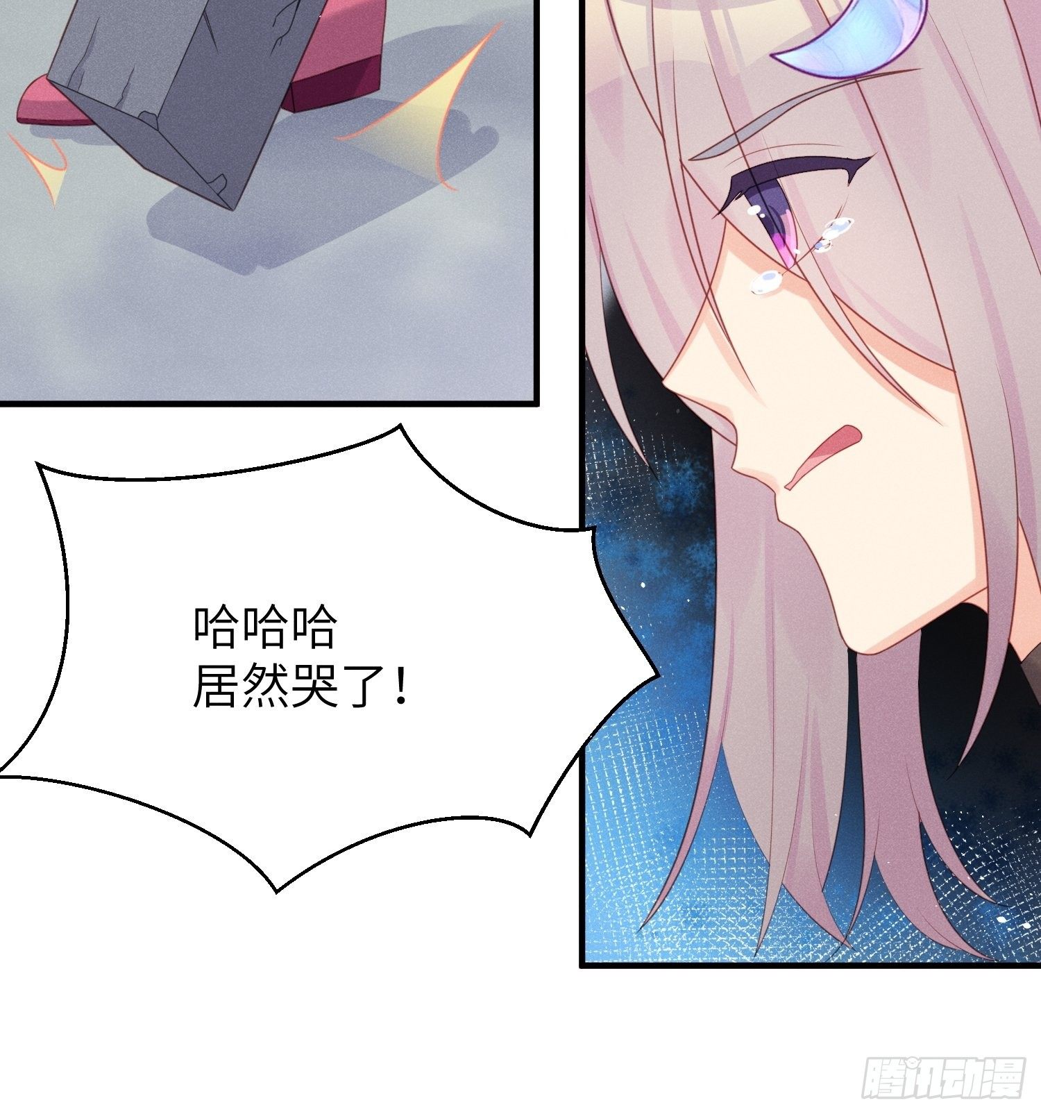 幼猫与虐猫畜牲26