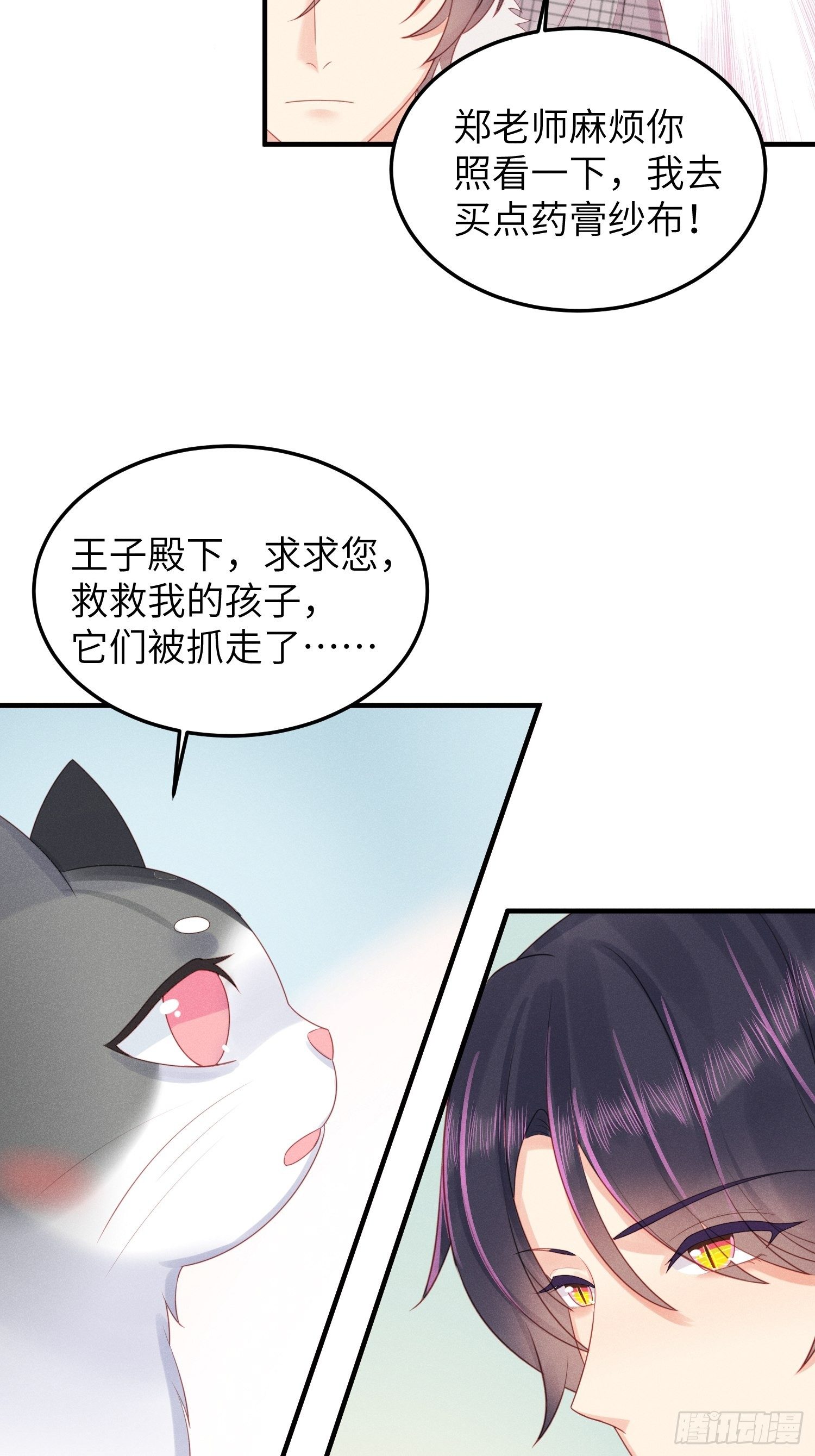 幼猫与虐猫畜牲11