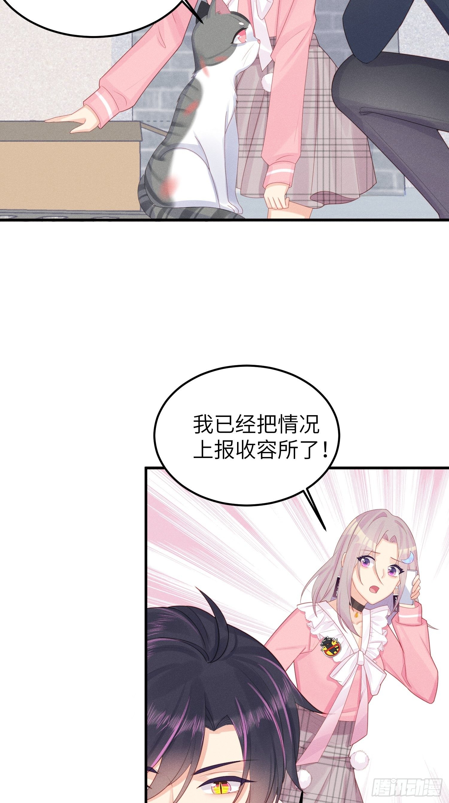 幼猫与虐猫畜牲10