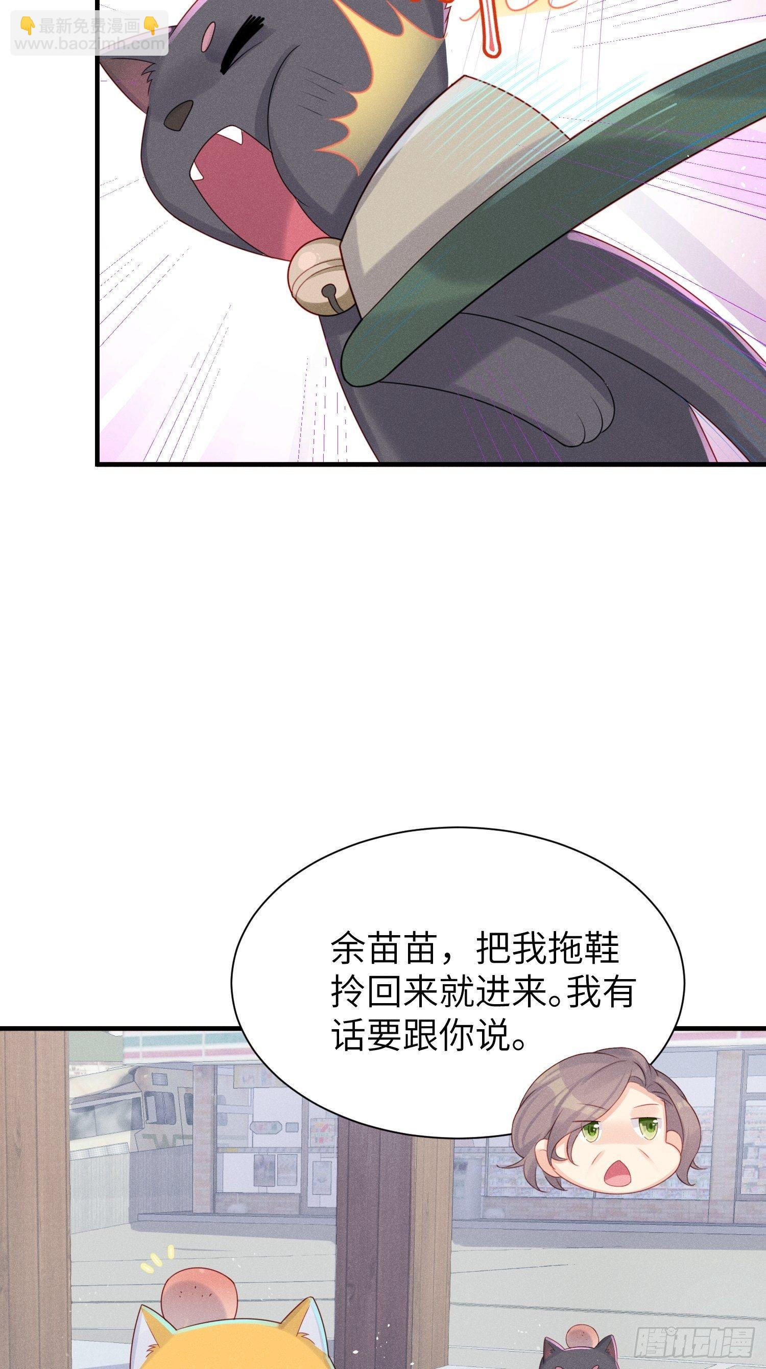 领地意识9