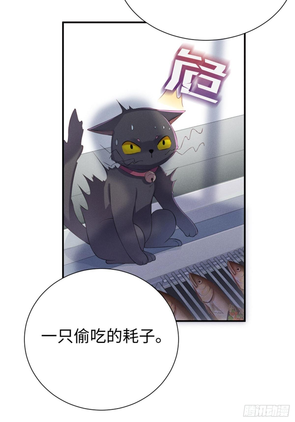 喵夫子有言：曲线救国8