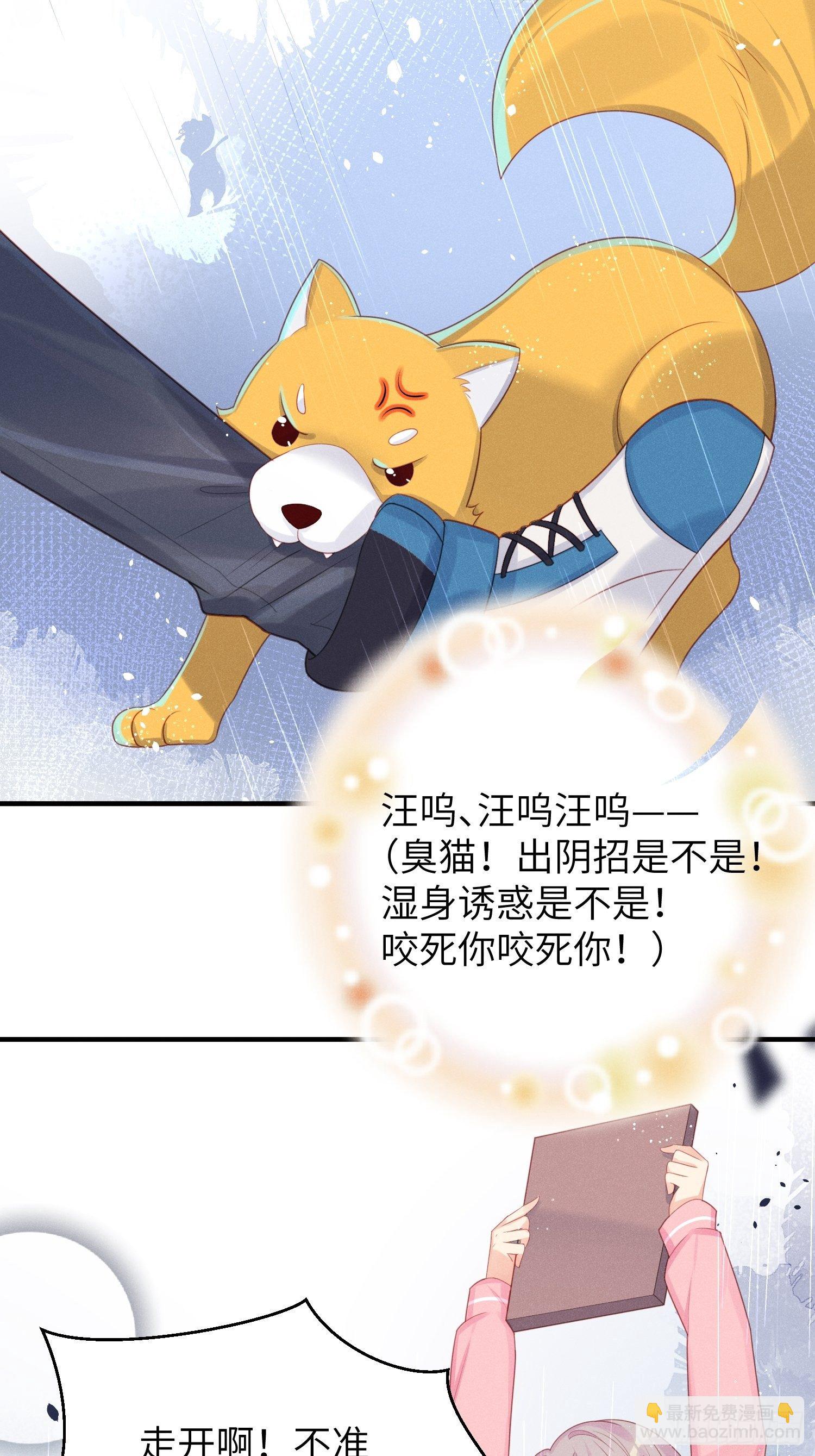 做绝育了么？3