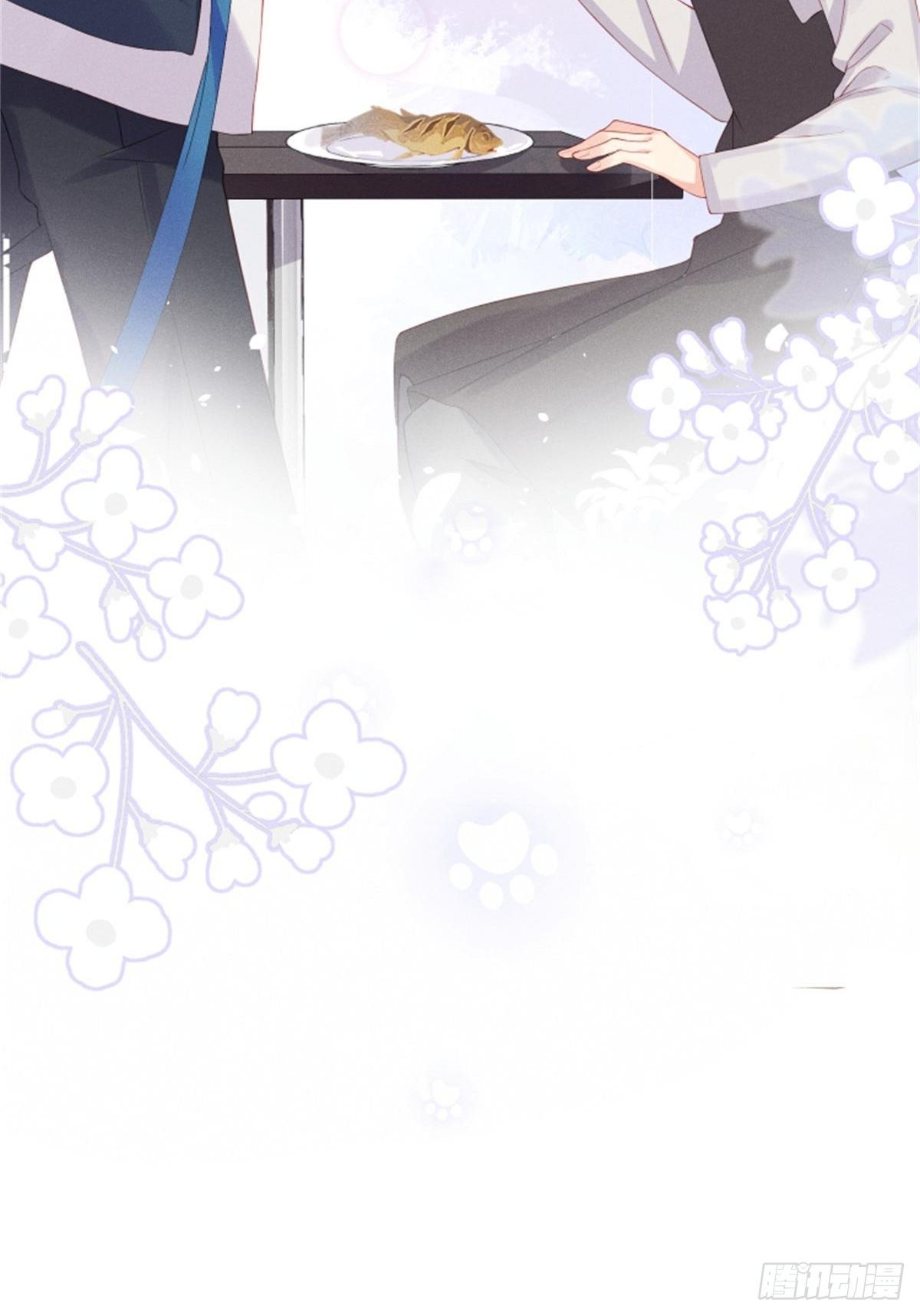 喵夫子有言：曲线救国41