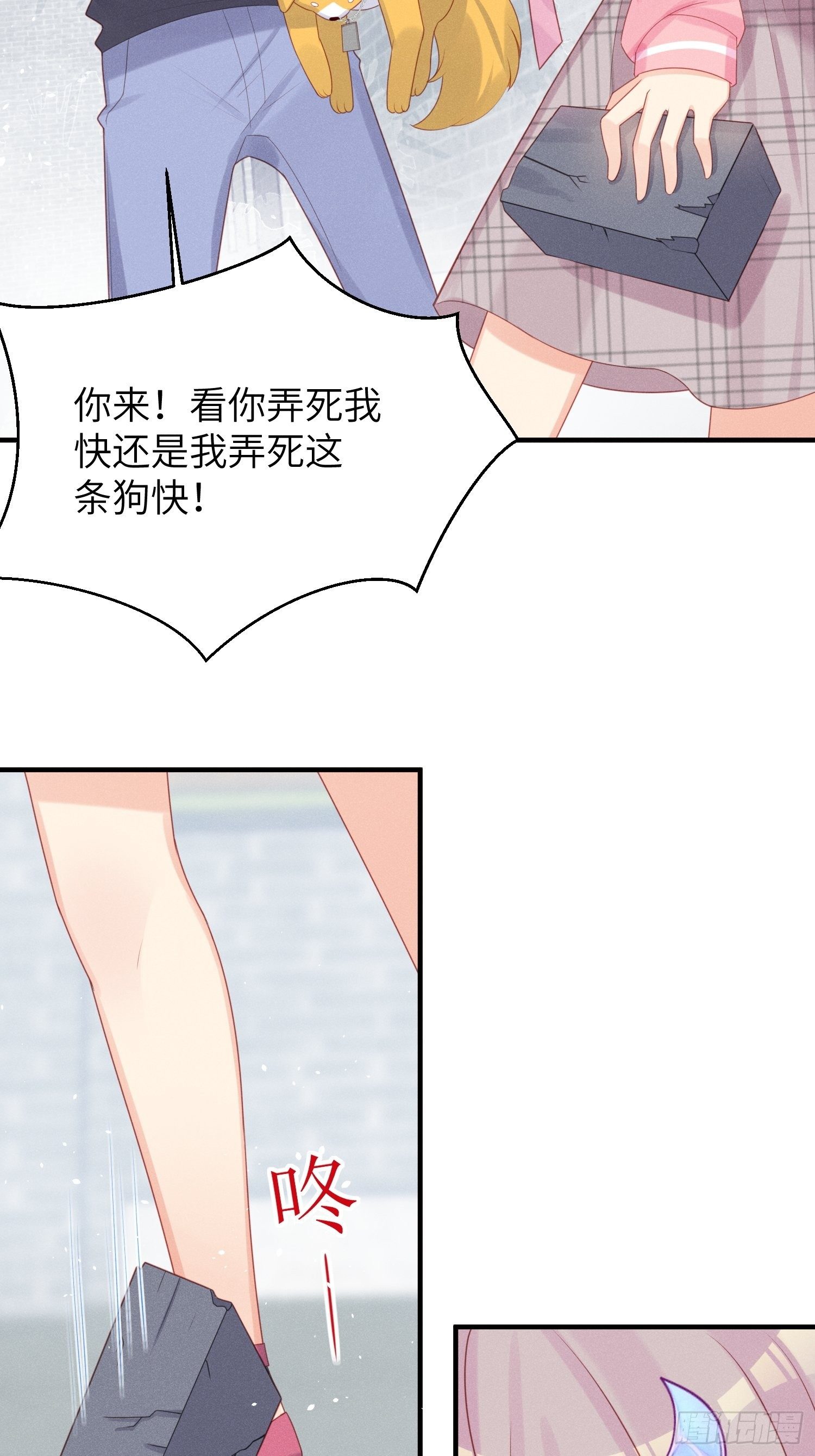 幼猫与虐猫畜牲25