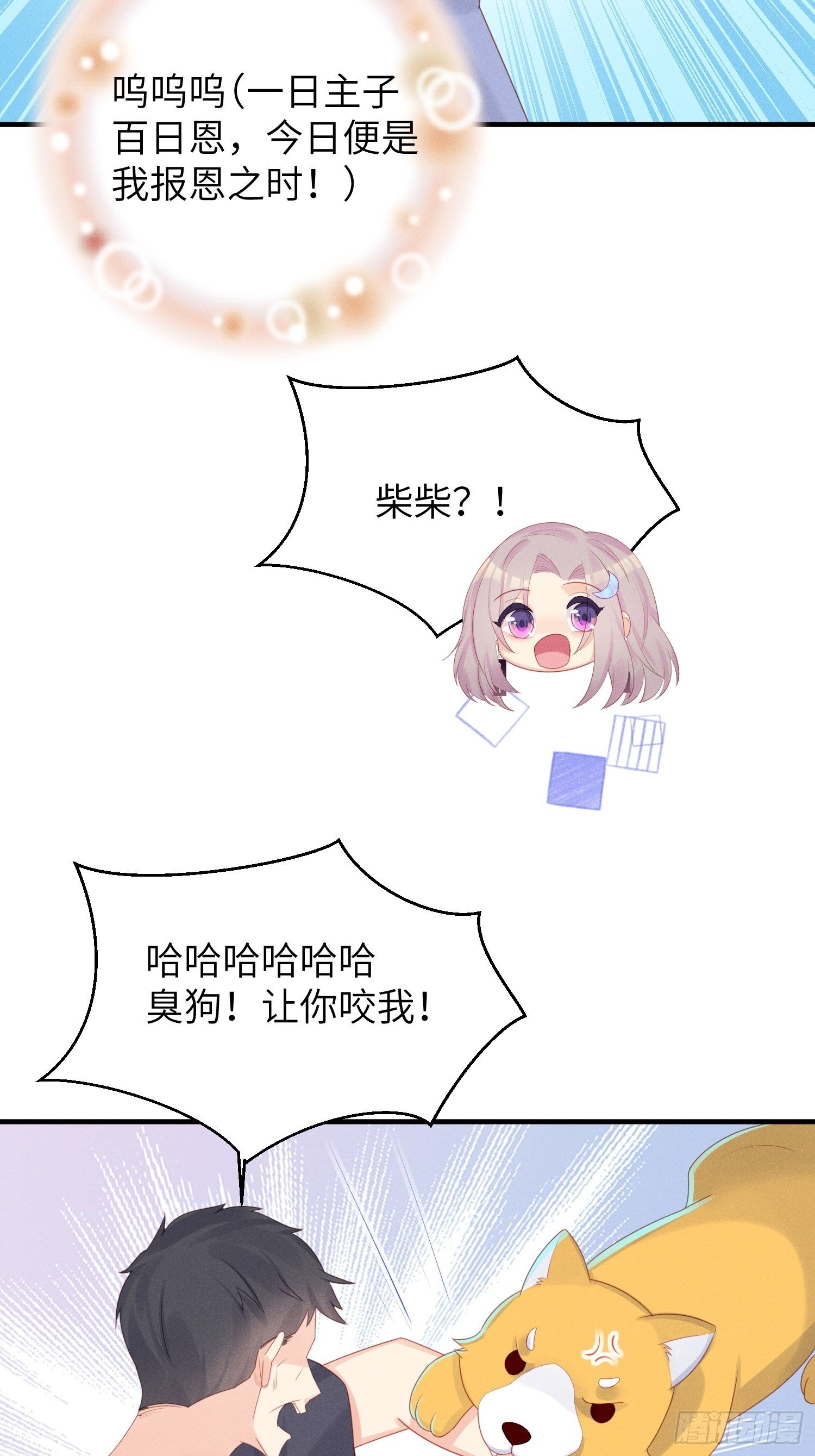 幼猫与虐猫畜牲22