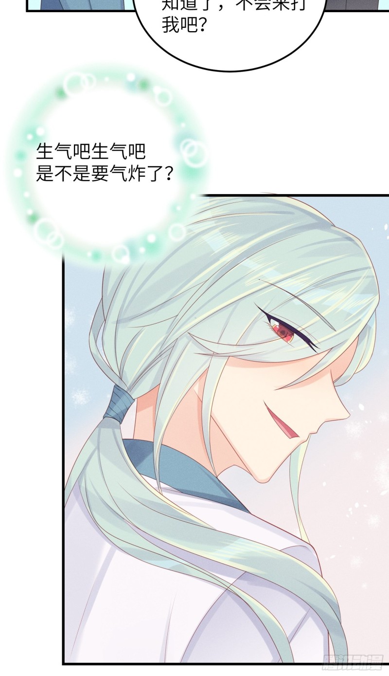 孔雀一族13