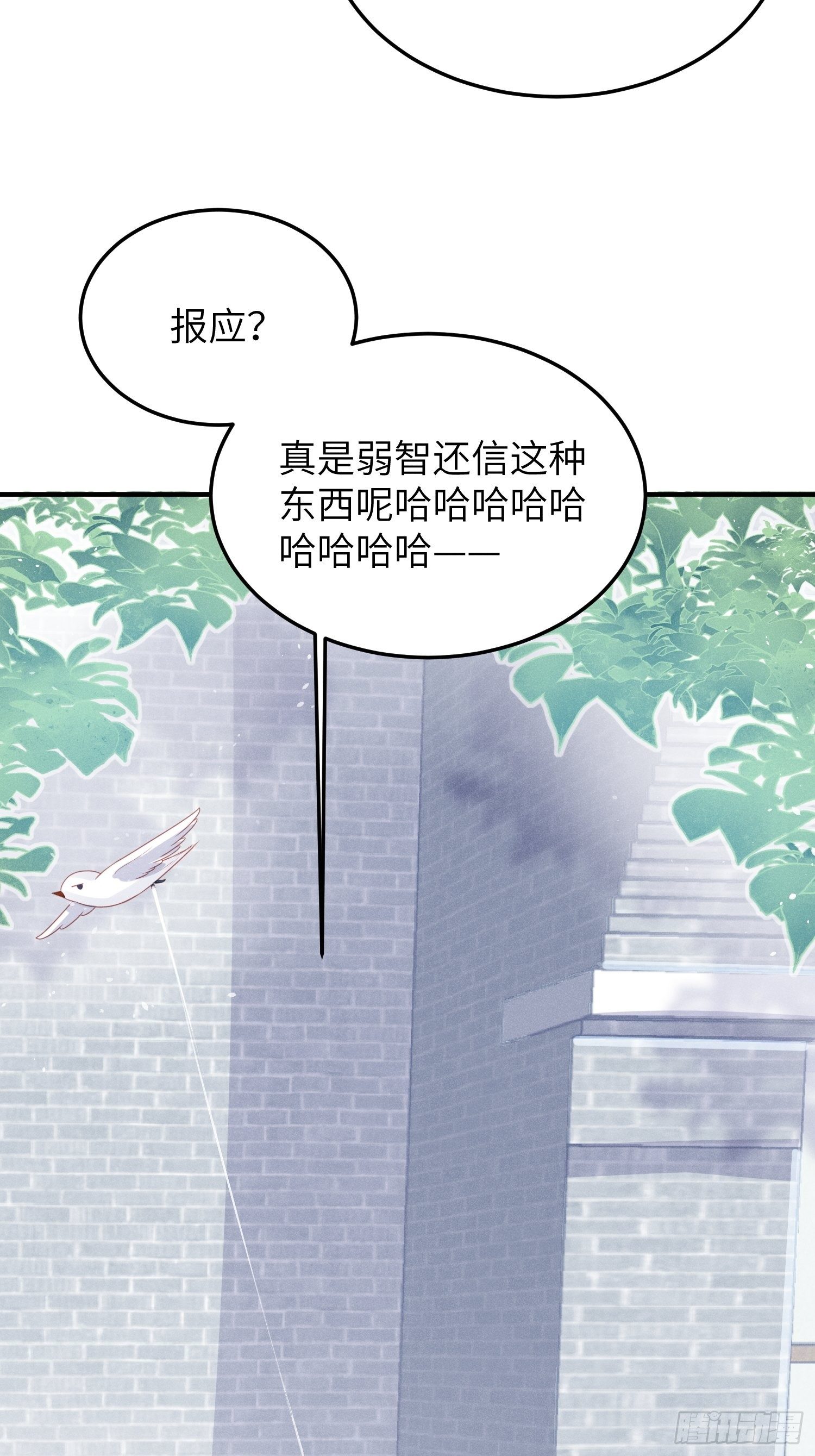 幼猫与虐猫畜牲29