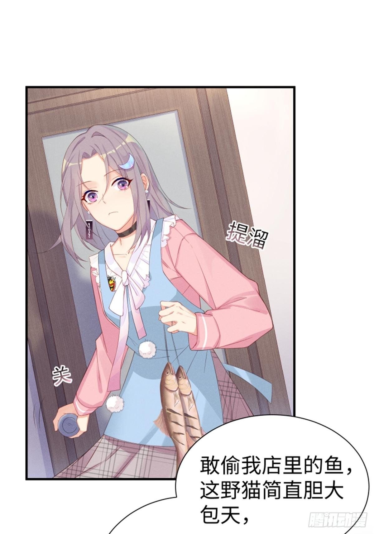 喵夫子有言：曲线救国9