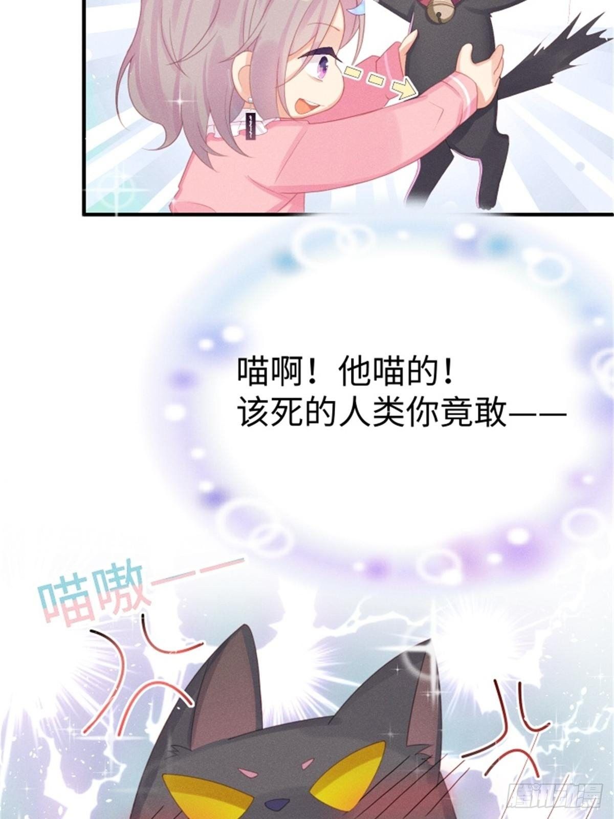 愚蠢的人类在对本喵做什么？！14