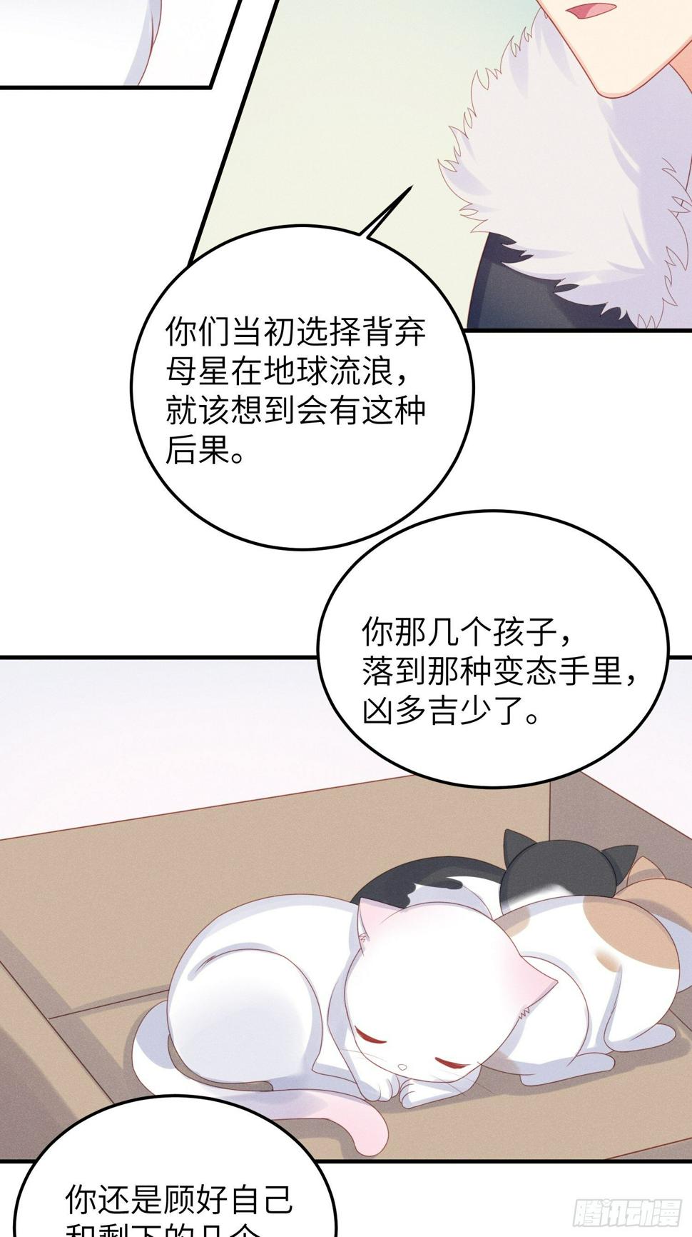 幼猫与虐猫畜牲12