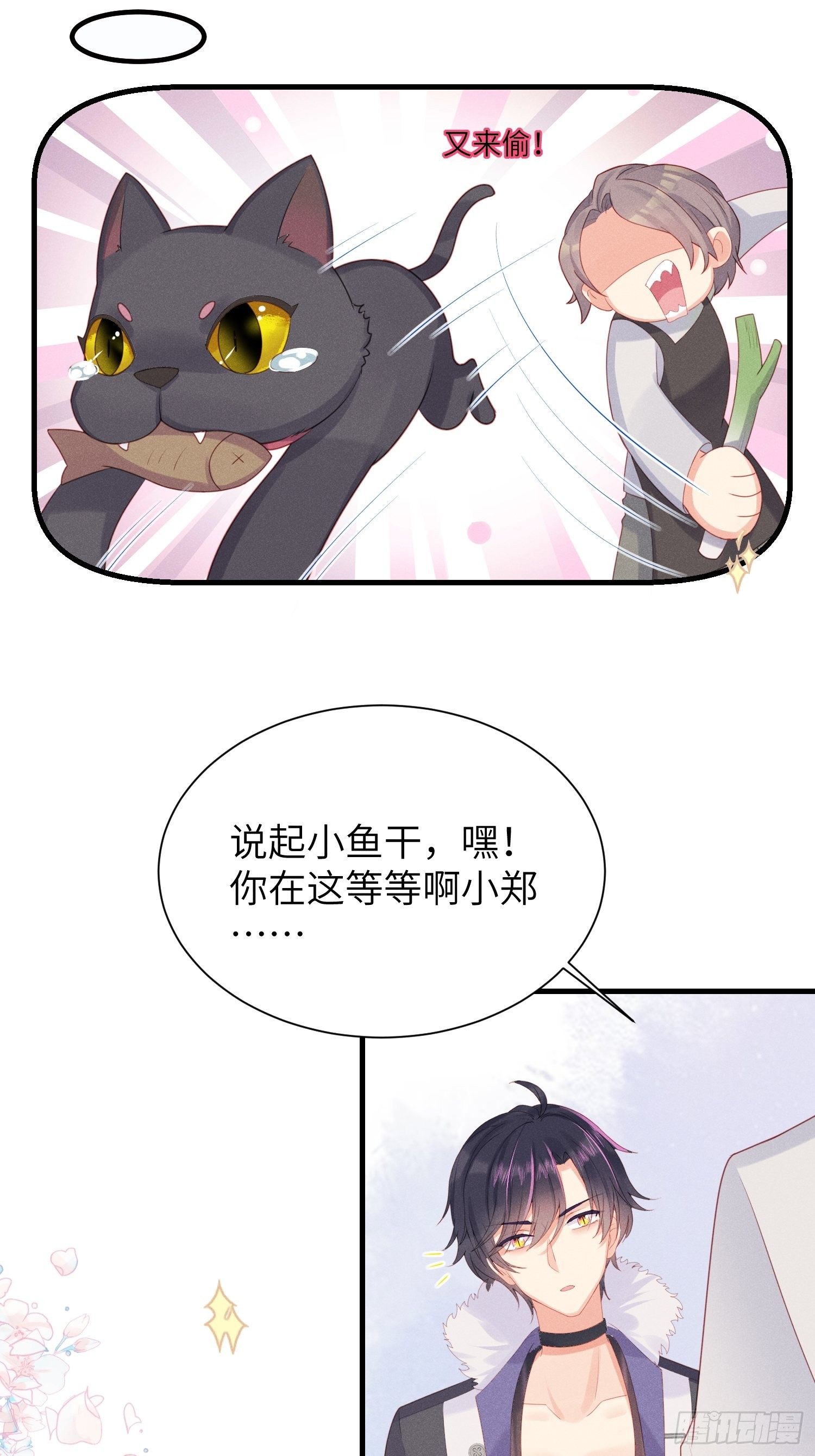 赌上喵的尊严！15