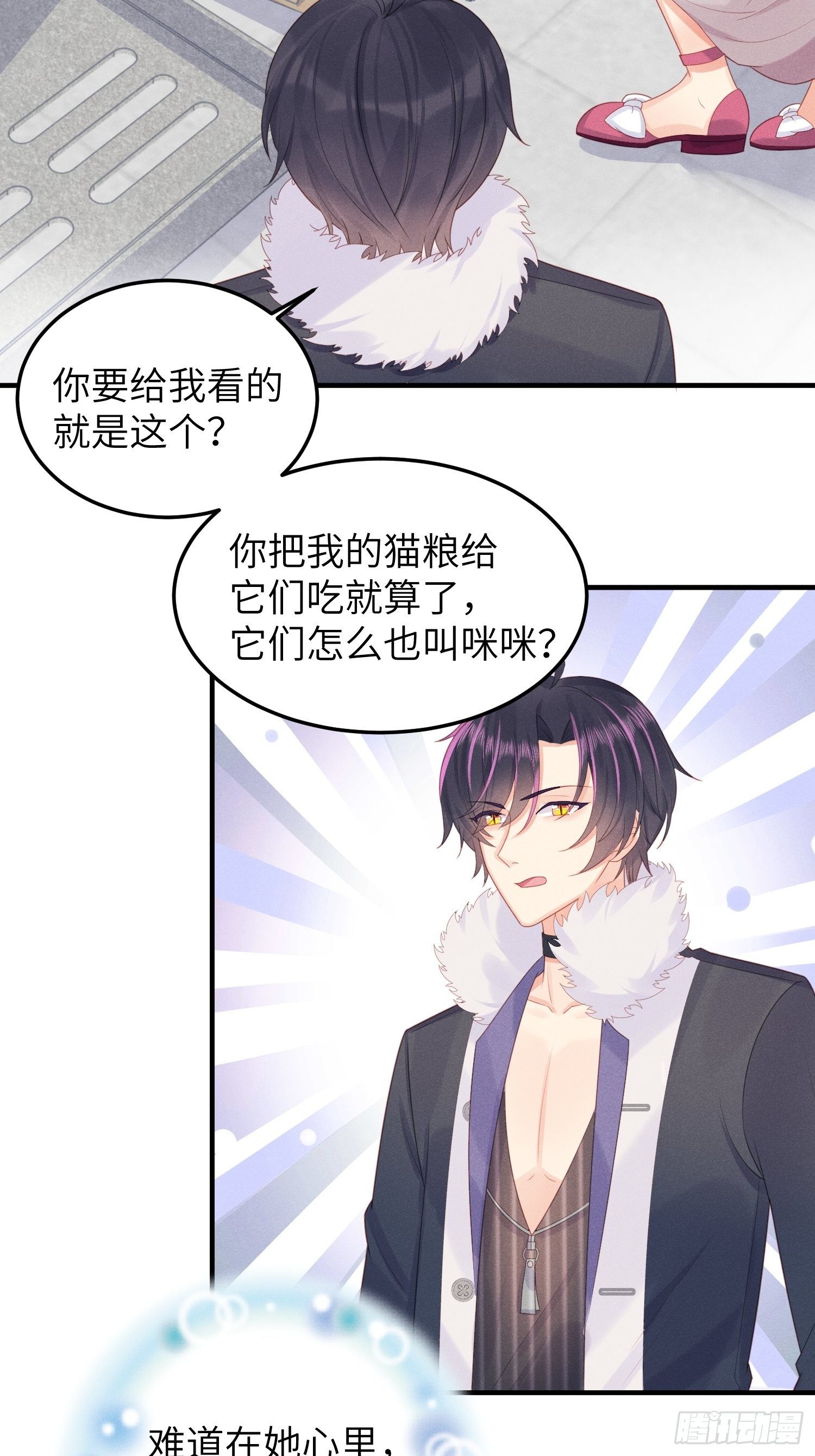 幼猫与虐猫畜牲6