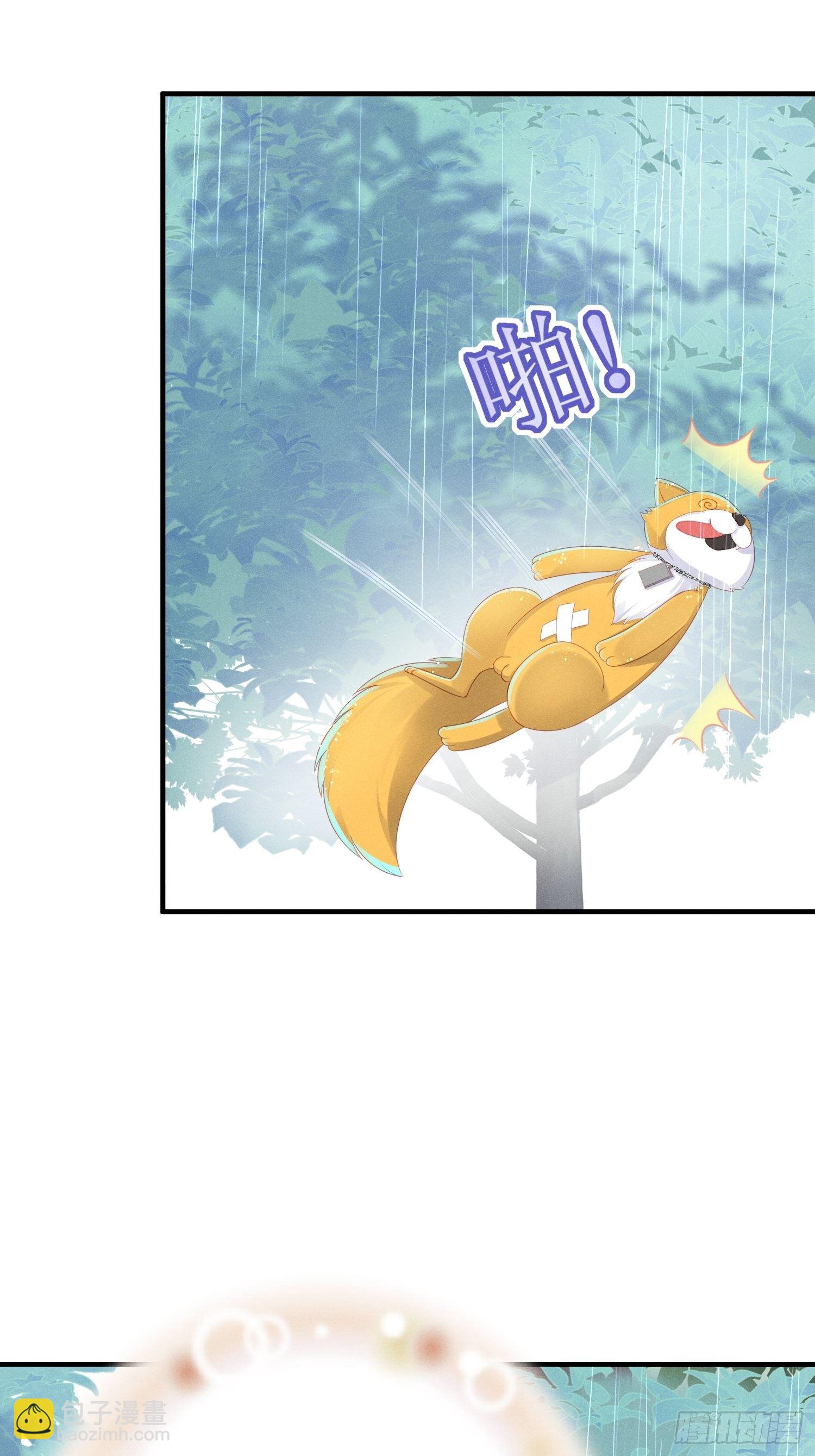 做绝育了么？6