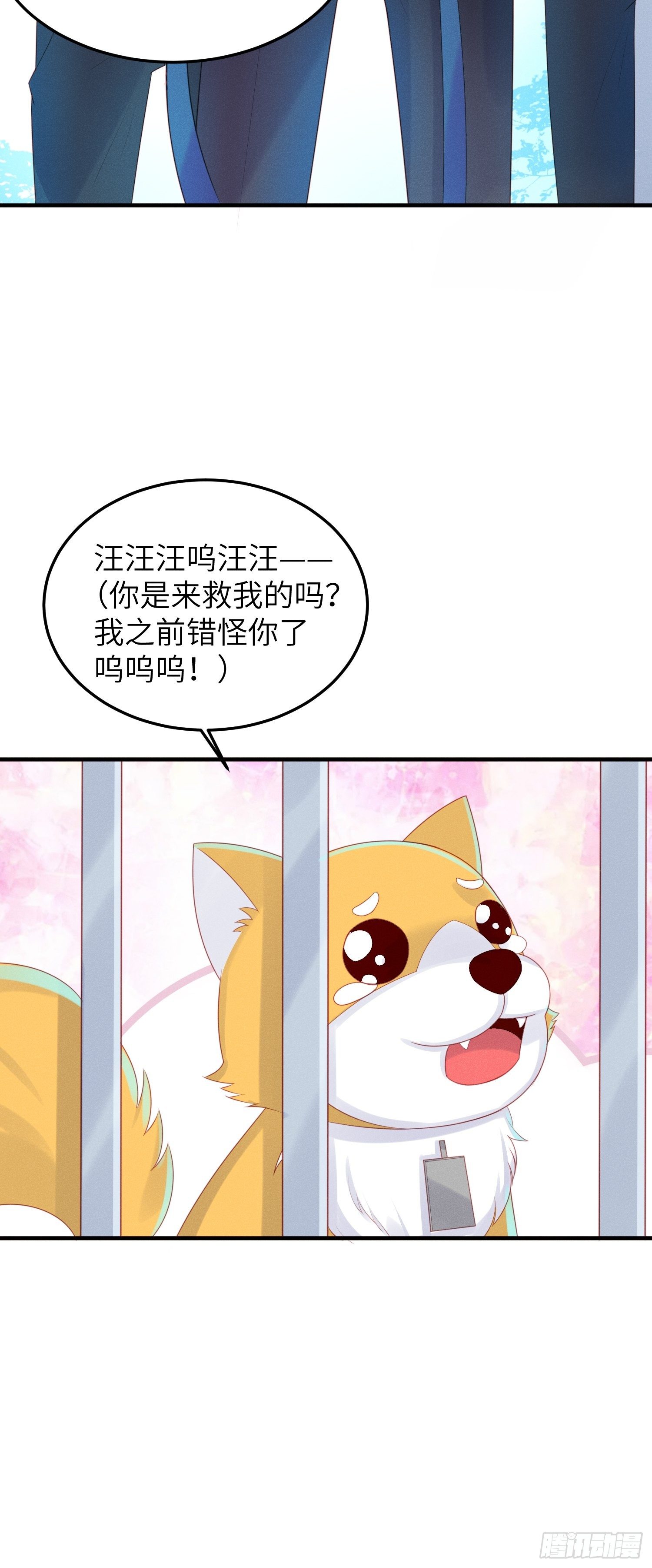 人间的十二年7