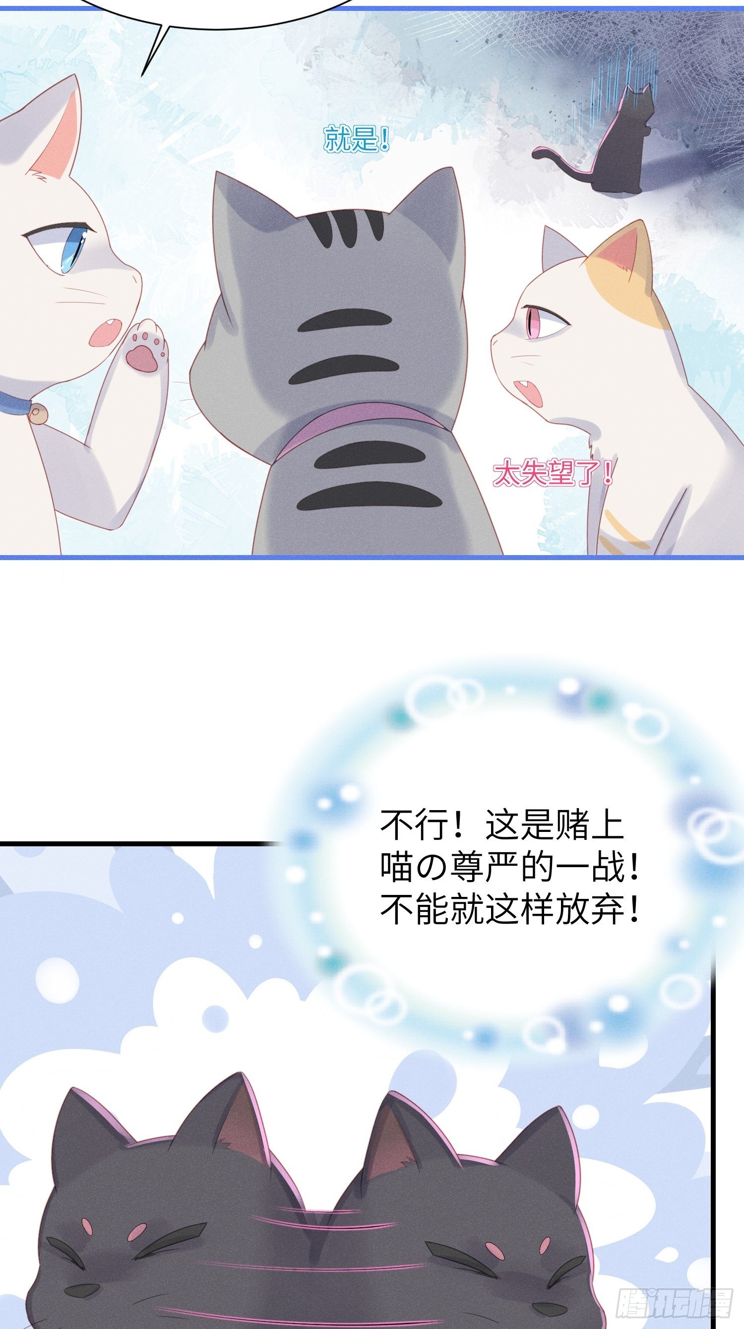 赌上喵的尊严！6