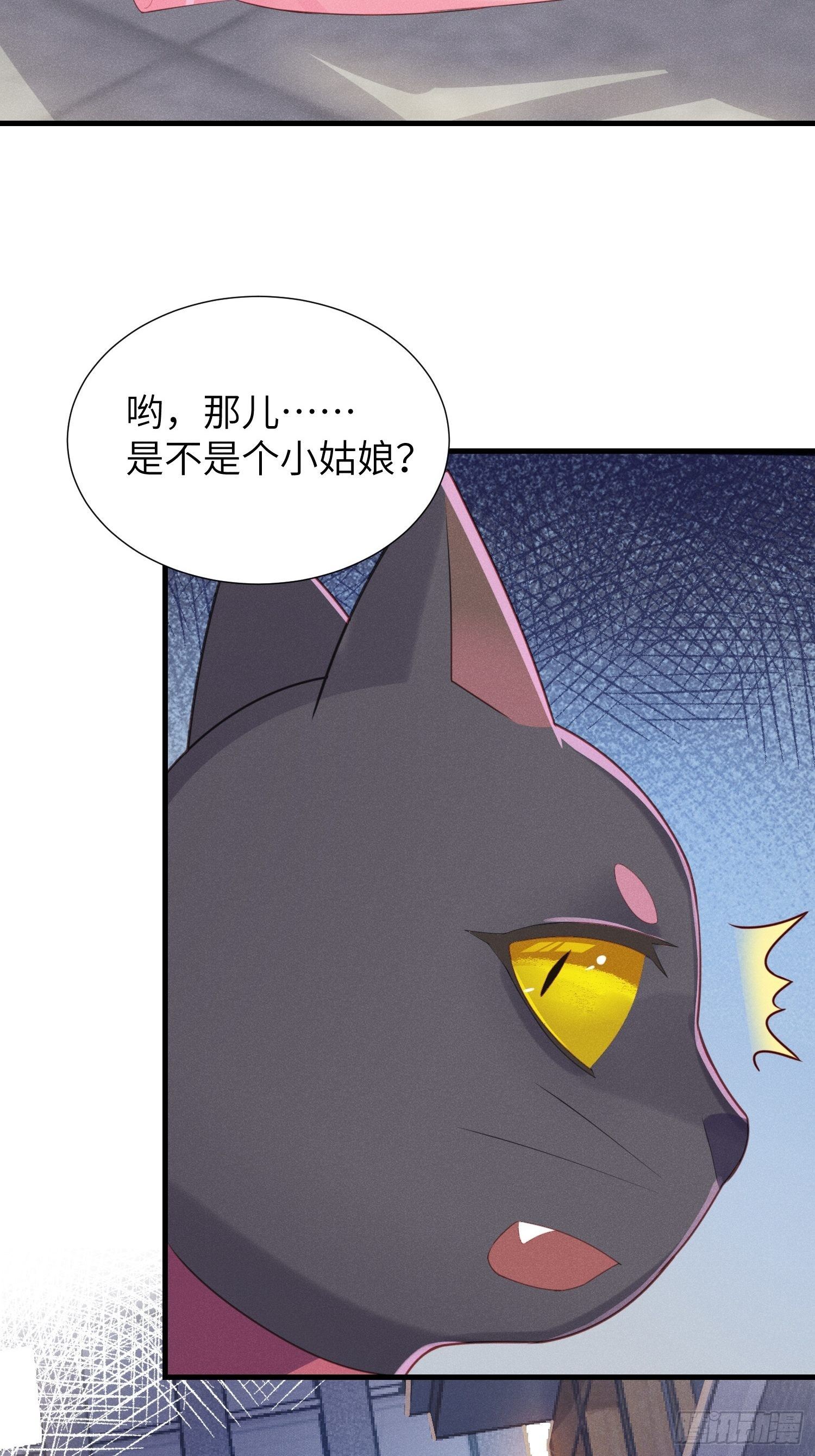 翘屁股猫男46