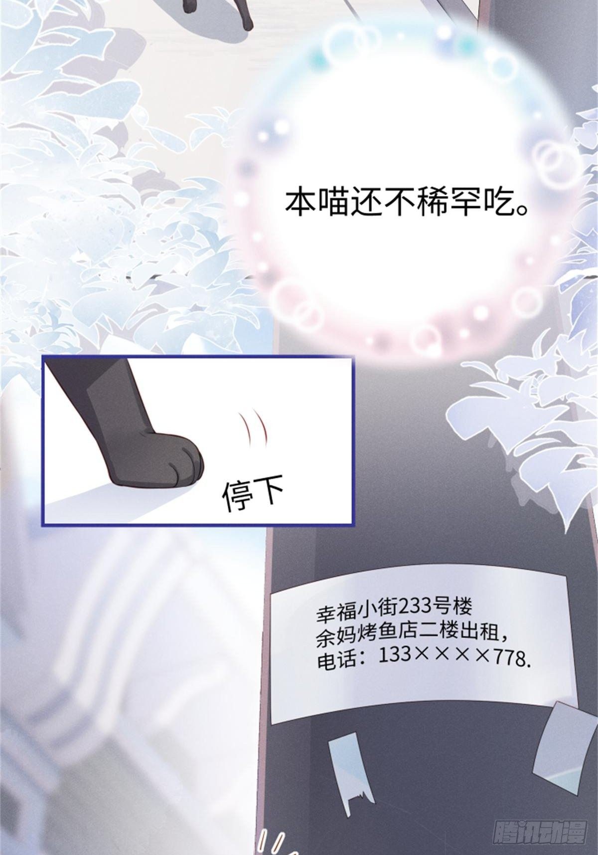 喵夫子有言：曲线救国20