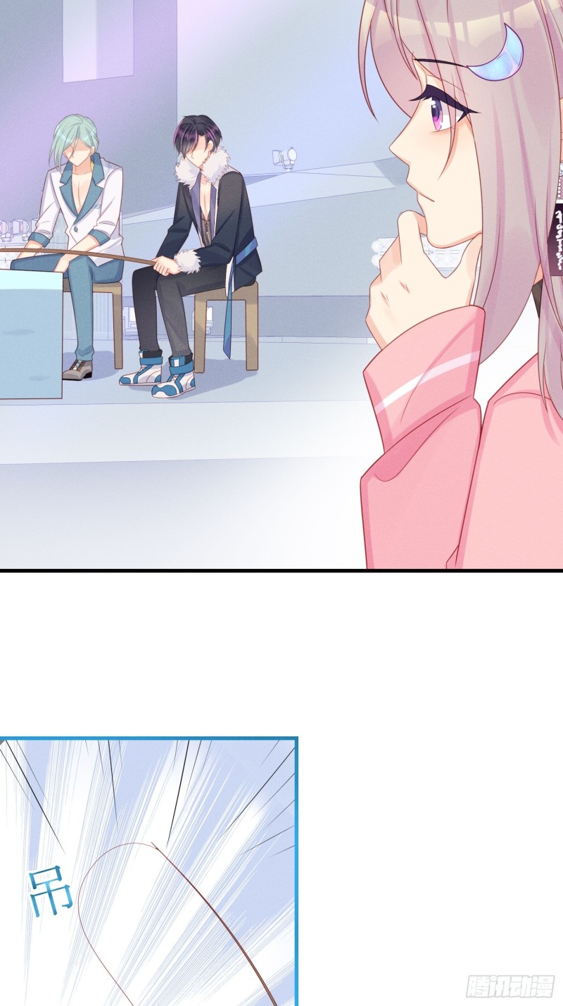 孔雀一族29