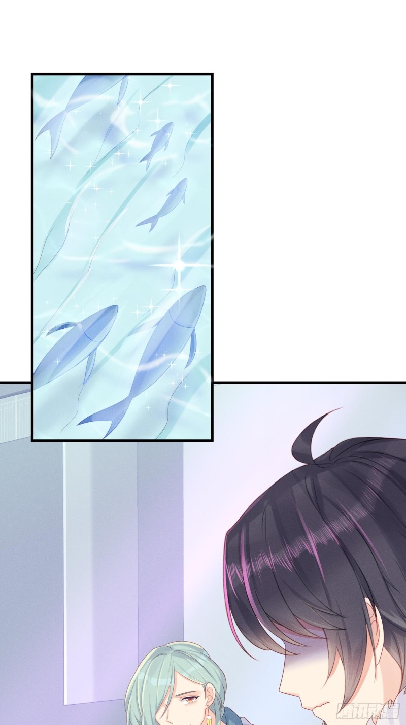 孔雀一族26