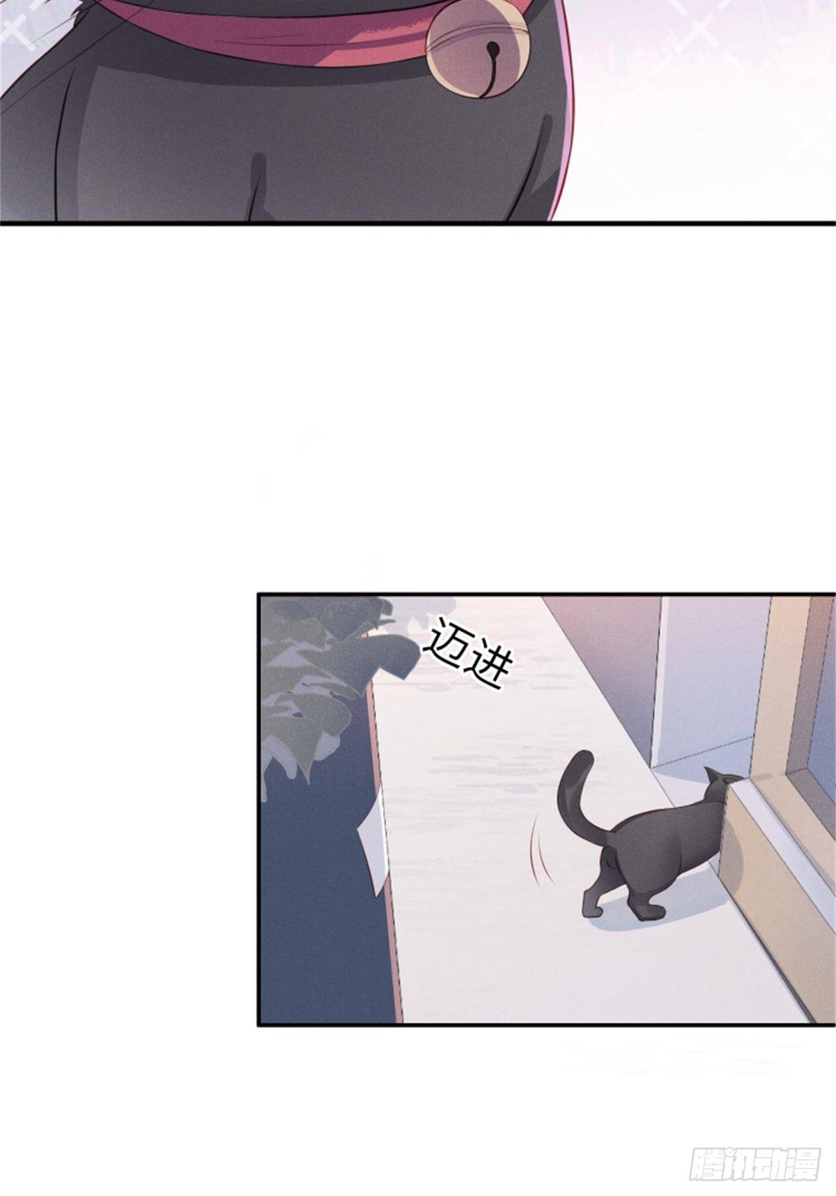喵夫子有言：曲线救国22