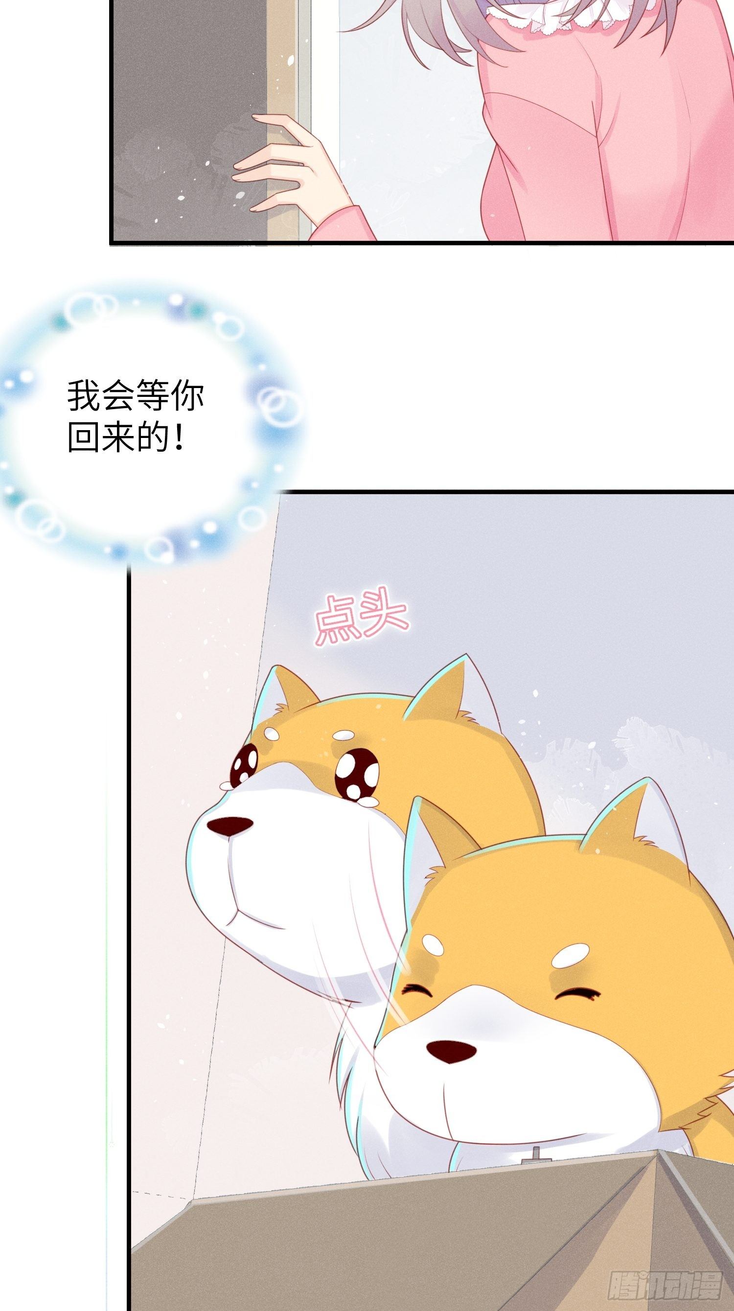 领地意识23