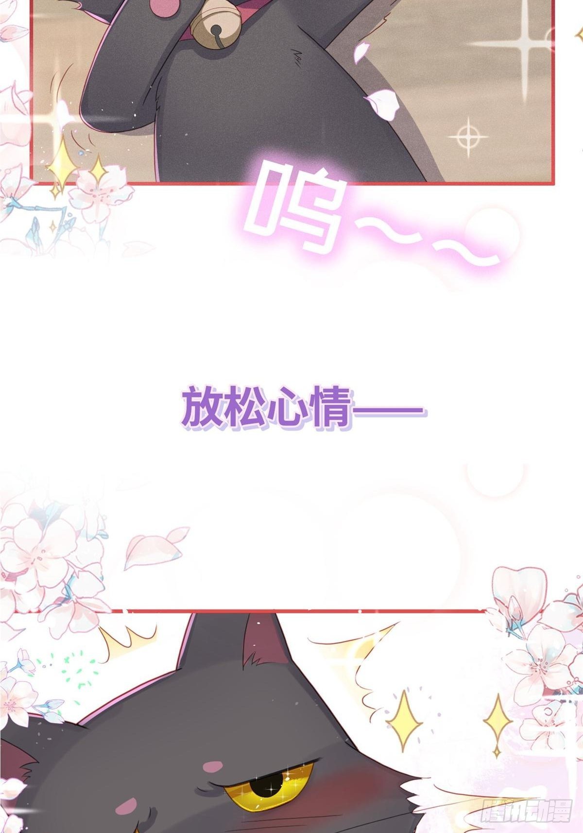 愚蠢的人类在对本喵做什么？！46