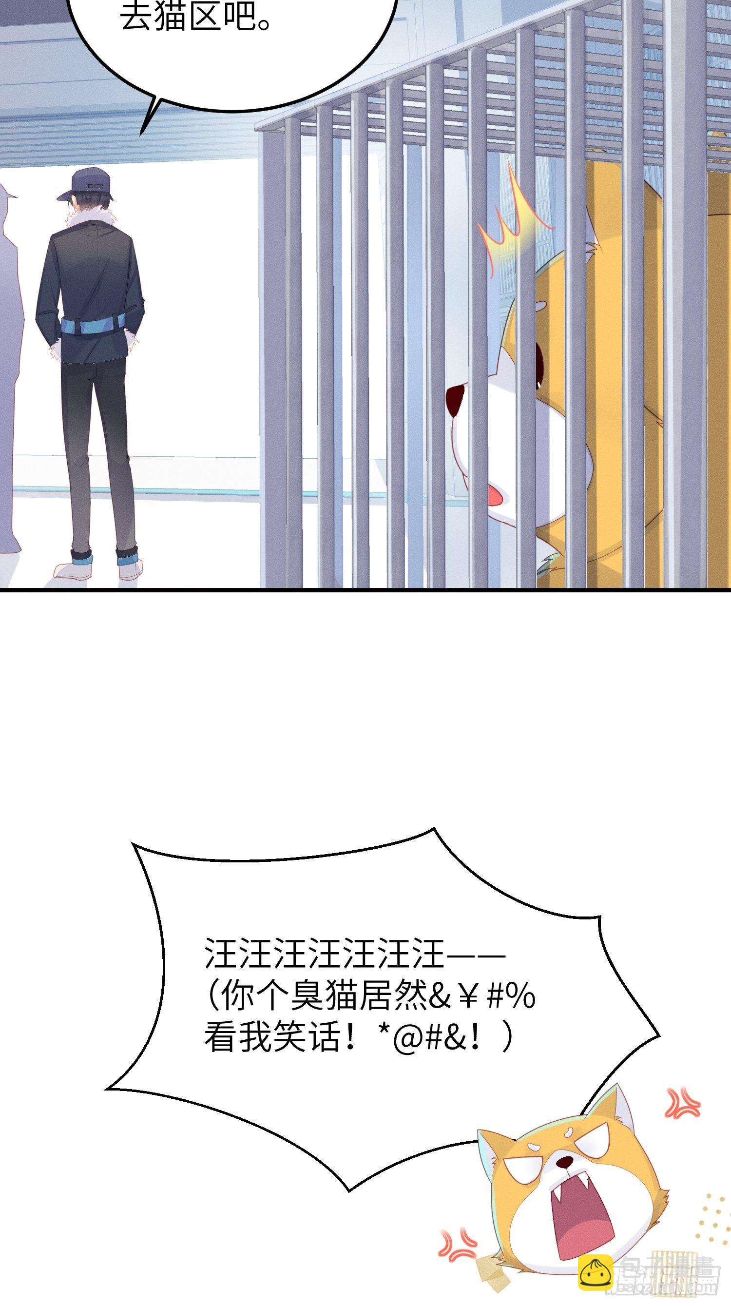 人间的十二年9