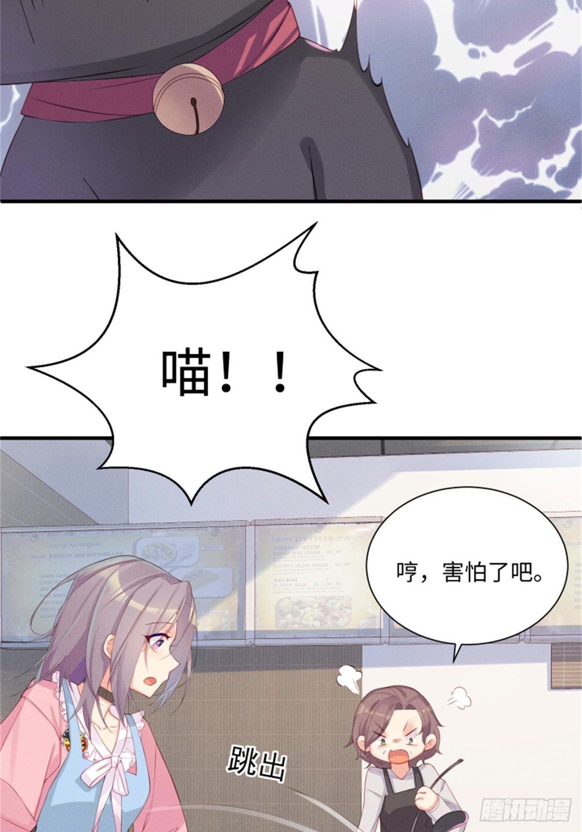 喵夫子有言：曲线救国14