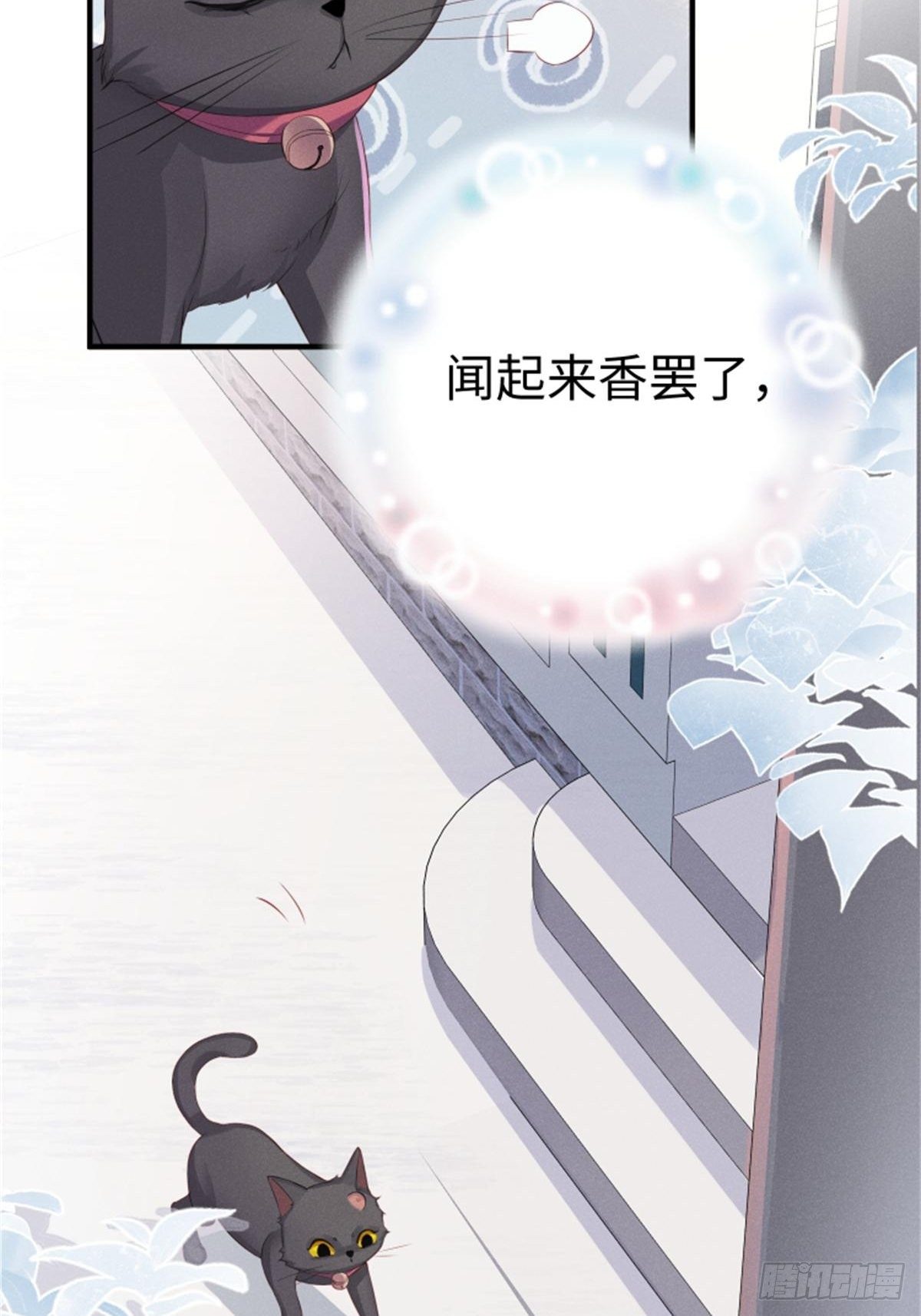 喵夫子有言：曲线救国19