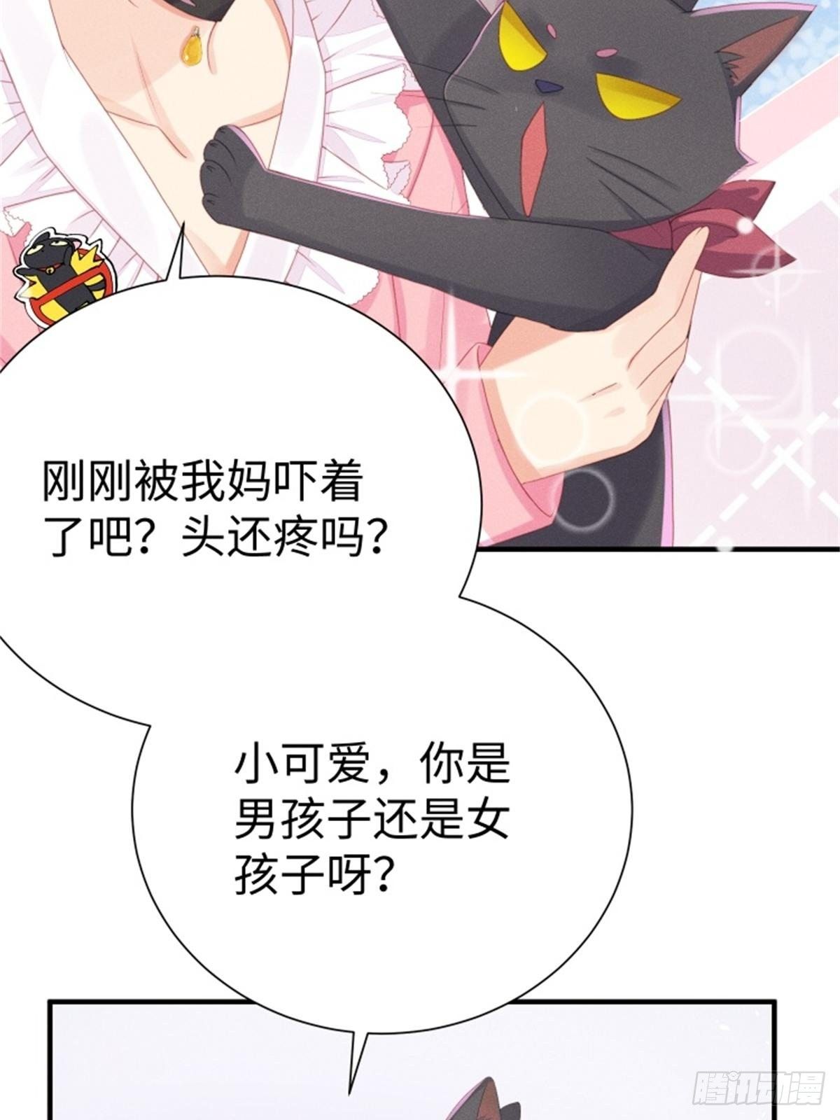 愚蠢的人类在对本喵做什么？！12