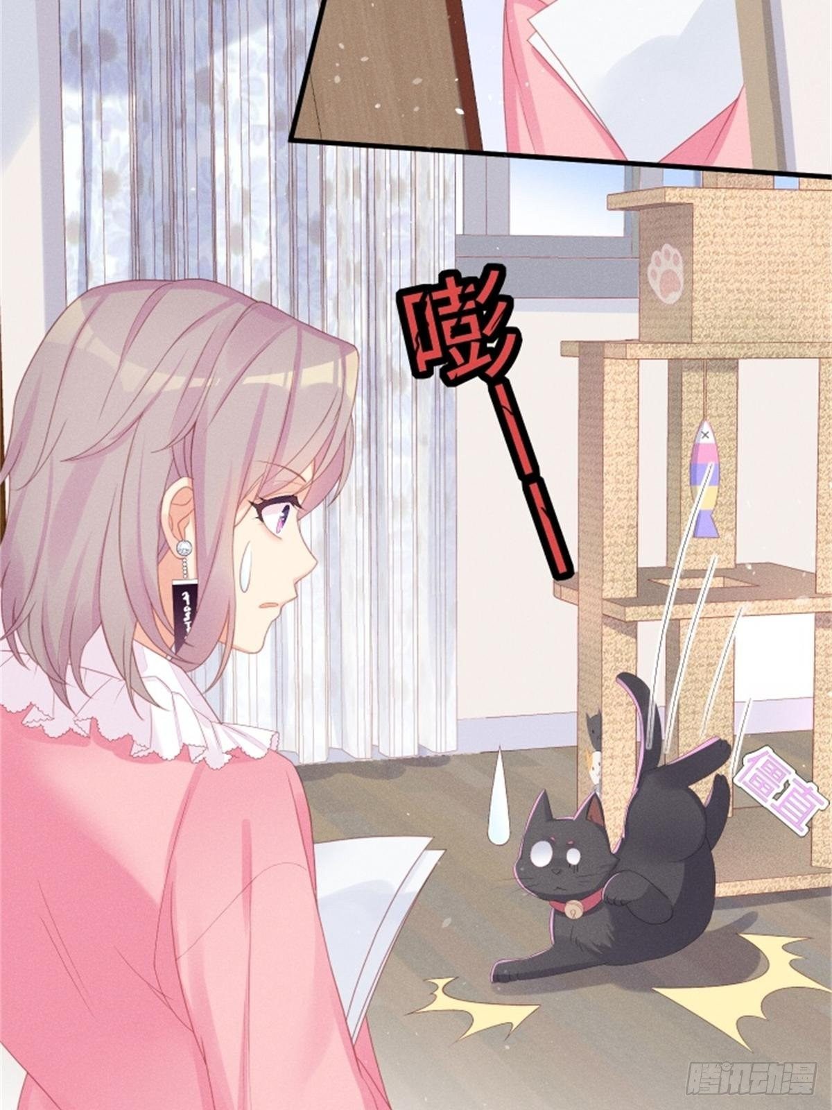愚蠢的人类在对本喵做什么？！10