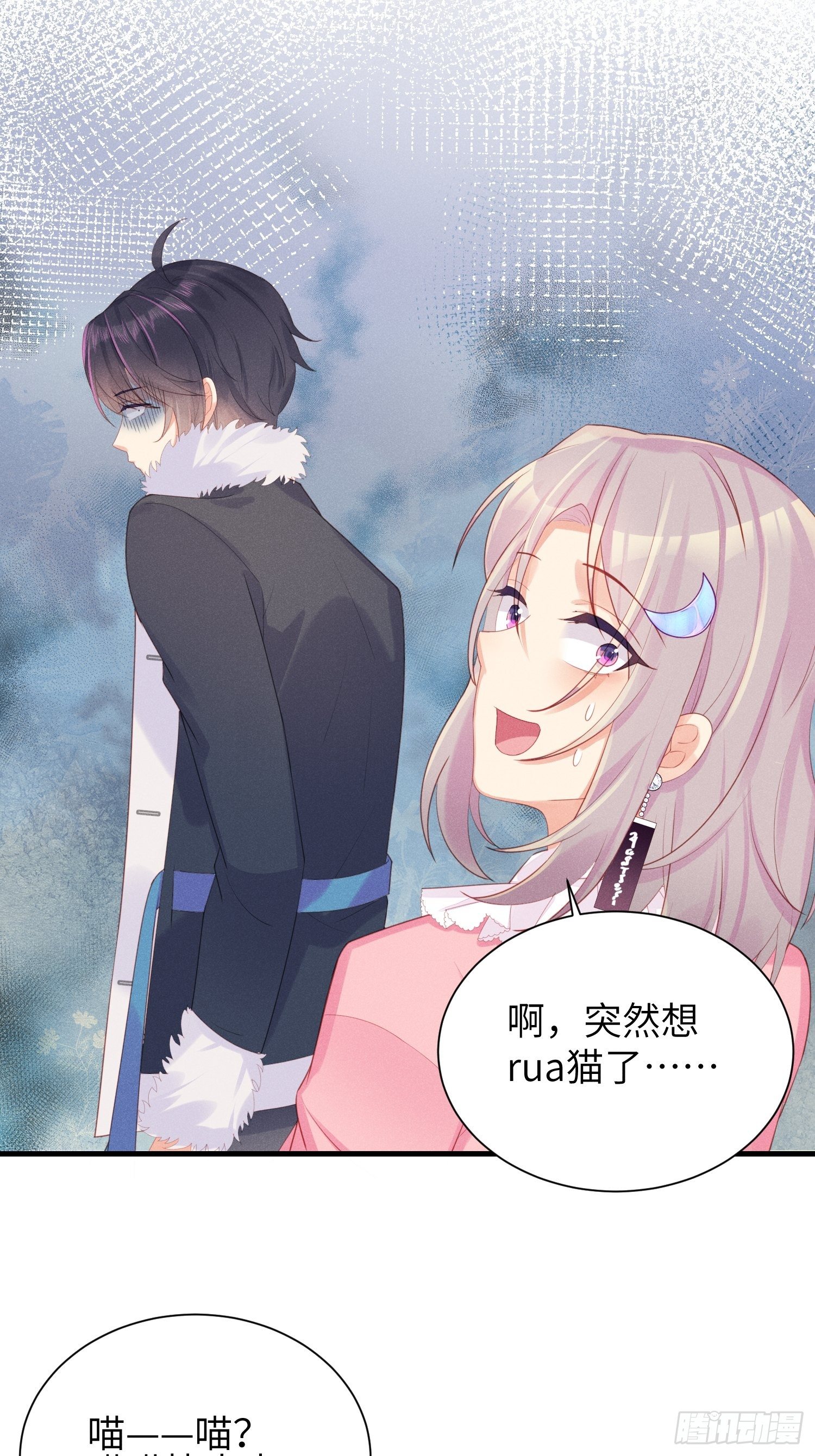 赌上喵的尊严！27