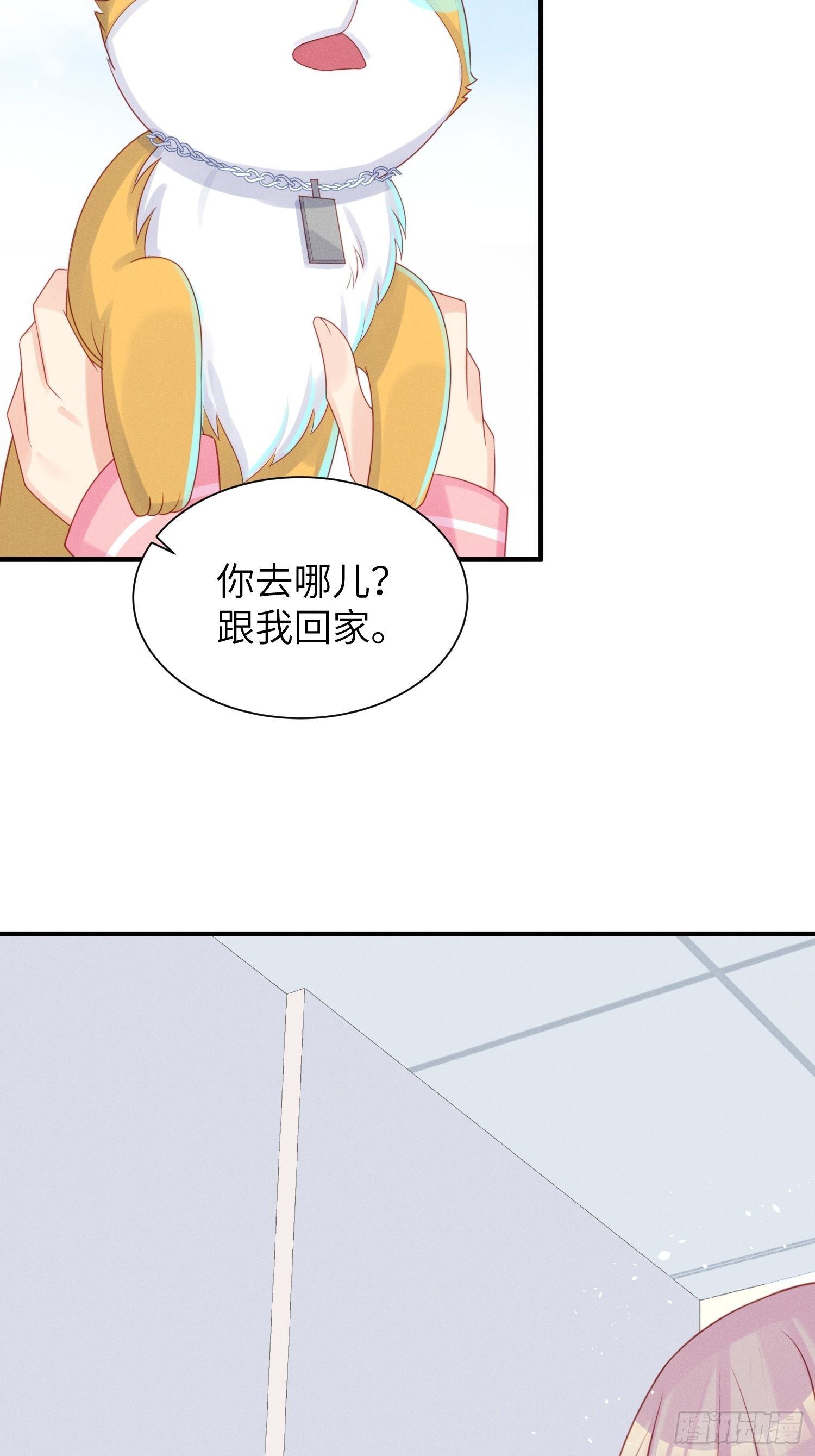领地意识17